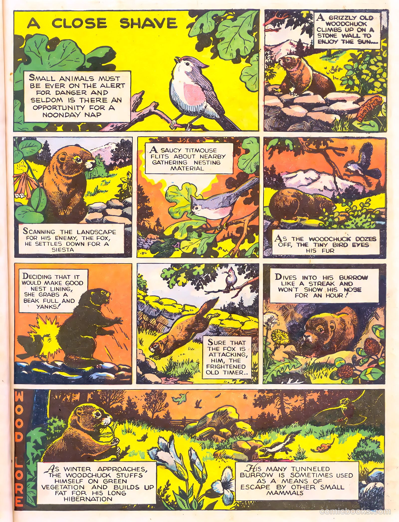 Mark Trail's Adventure Book of Nature #1 (1958) — page 19 of 84