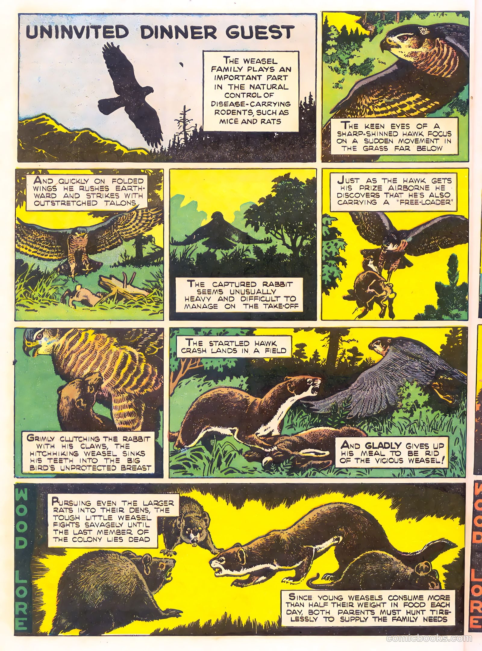 Mark Trail's Adventure Book of Nature #1 (1958) — page 20 of 84