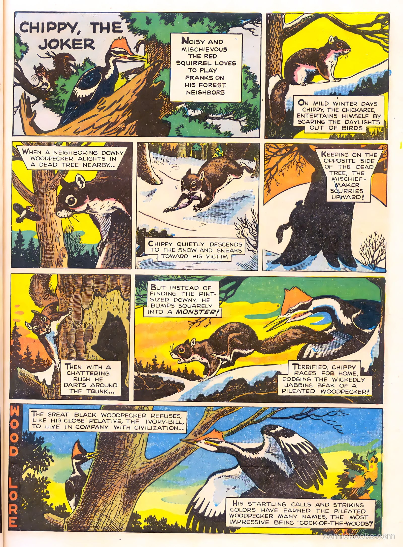 Mark Trail's Adventure Book of Nature #1 (1958) — page 21 of 84