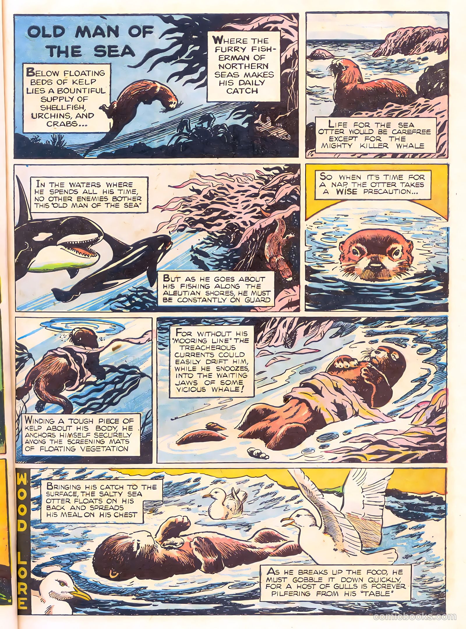 Mark Trail's Adventure Book of Nature #1 (1958) — page 23 of 84