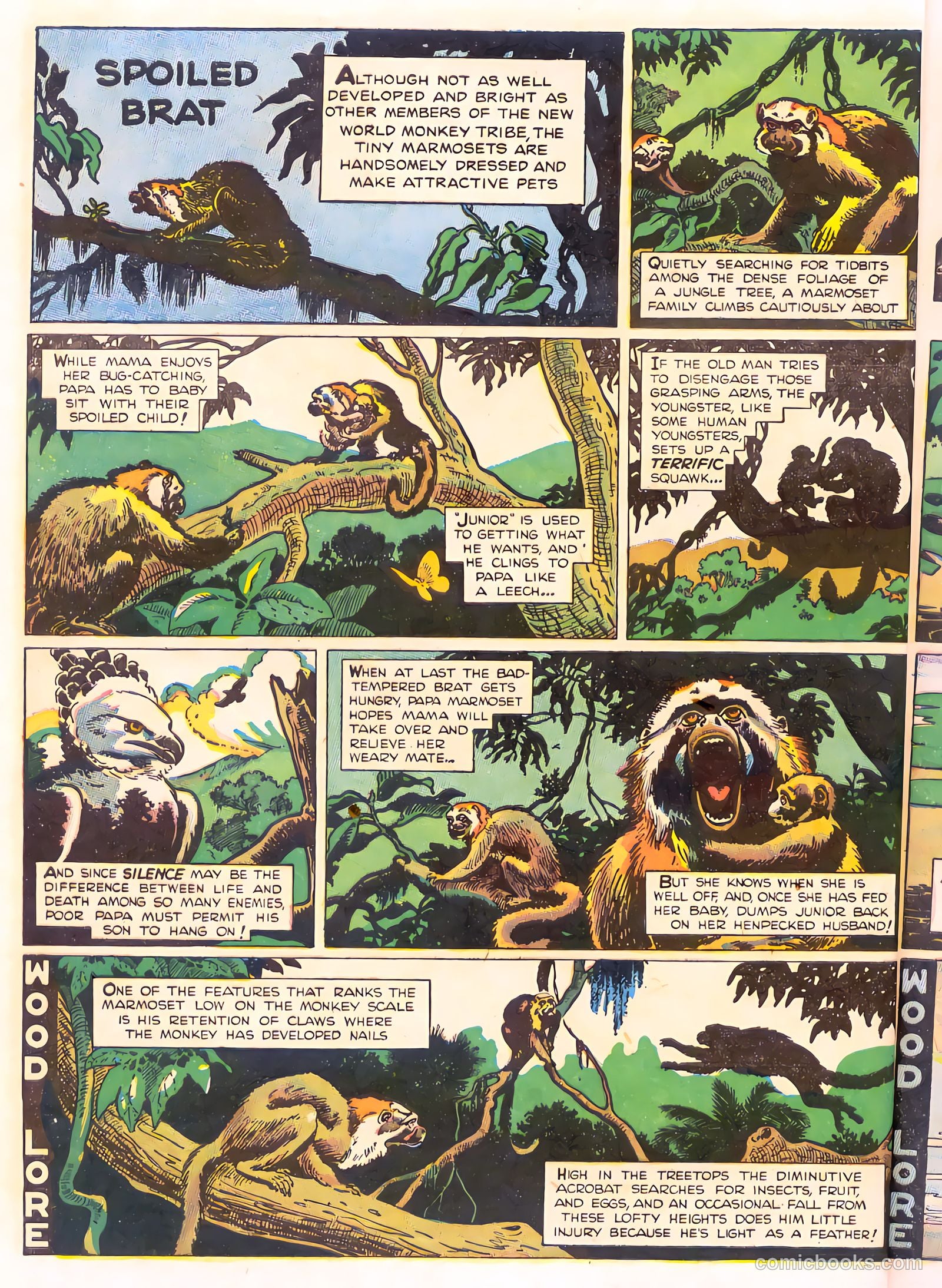 Mark Trail's Adventure Book of Nature #1 (1958) — page 24 of 84