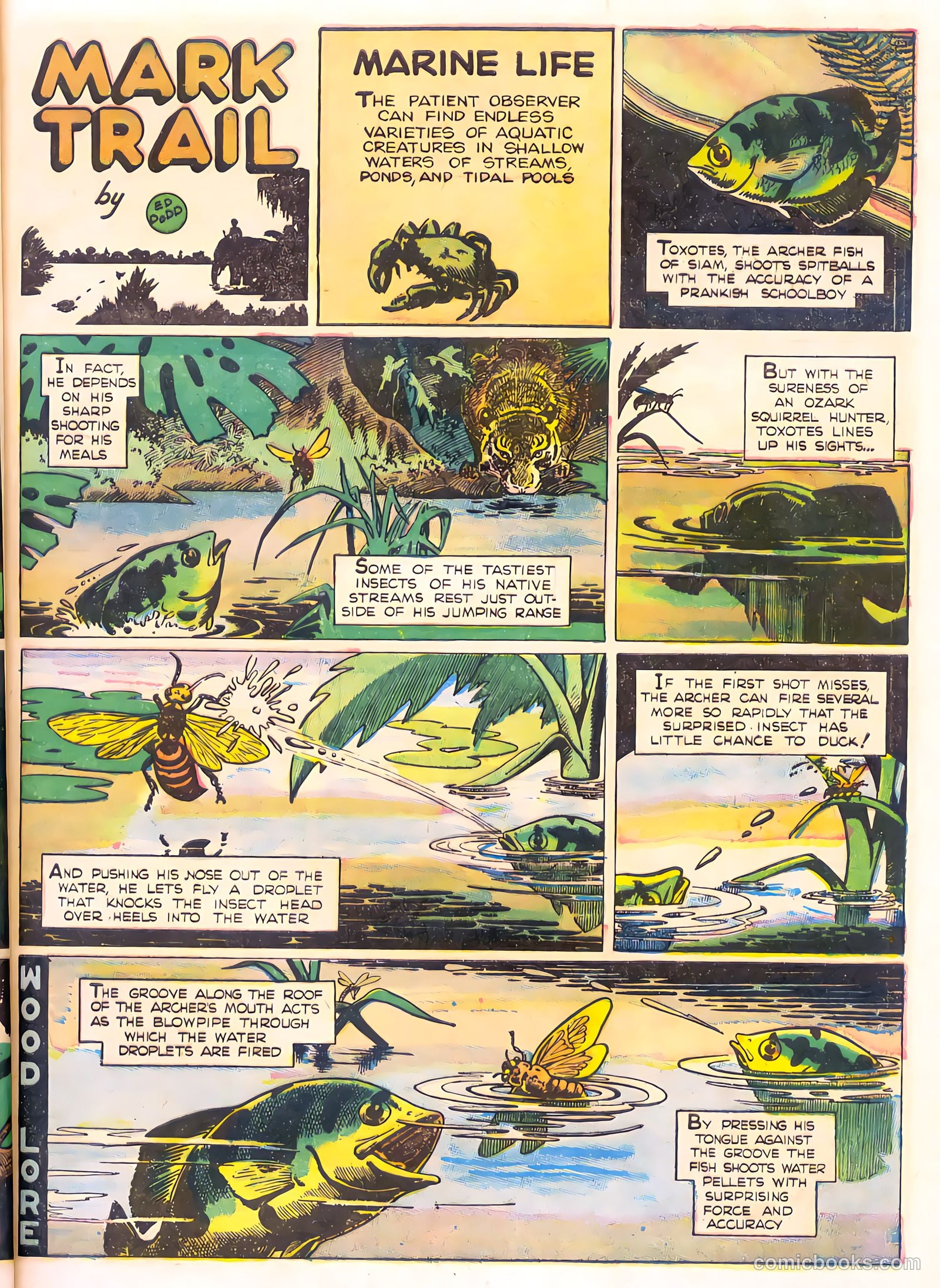 Mark Trail's Adventure Book of Nature #1 (1958) — page 25 of 84