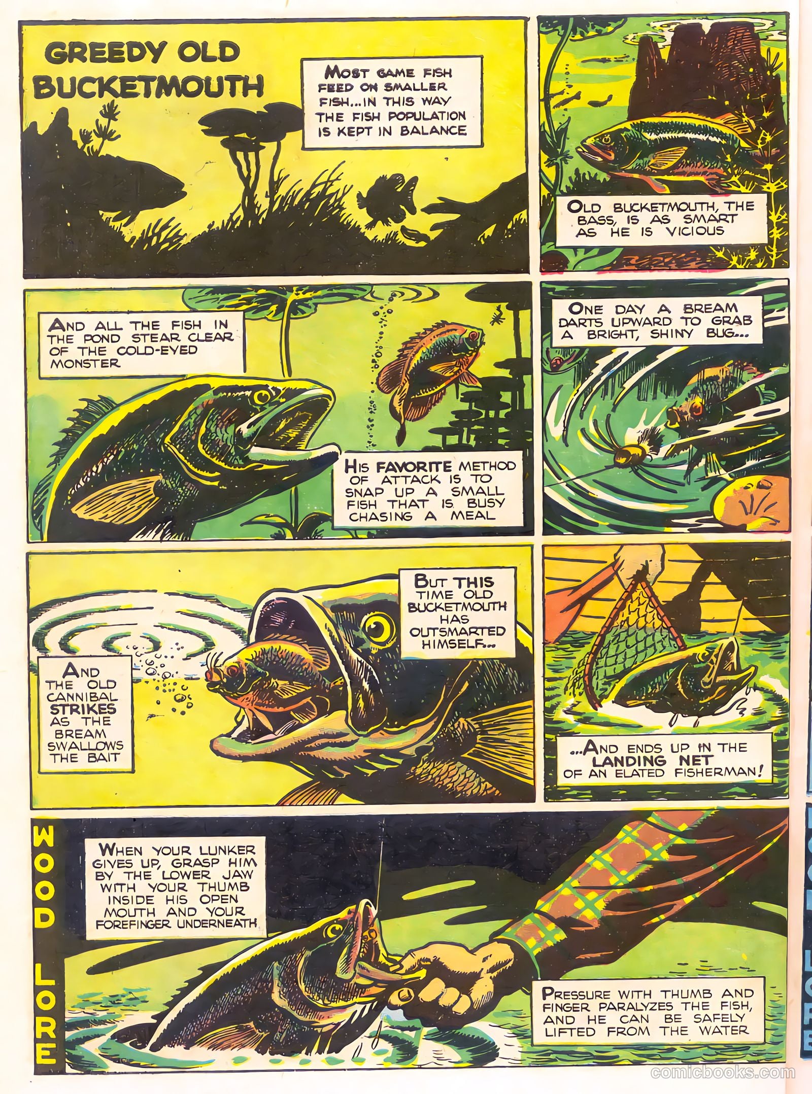 Mark Trail's Adventure Book of Nature #1 (1958) — page 26 of 84