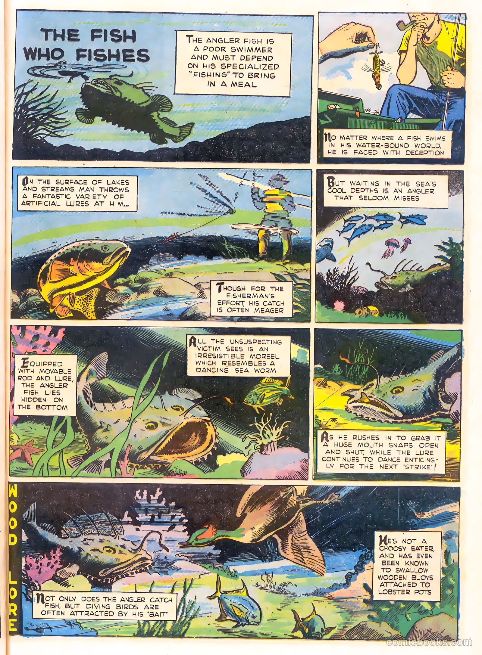 Mark Trail's Adventure Book of Nature #1 (1958) — page 29 of 84
