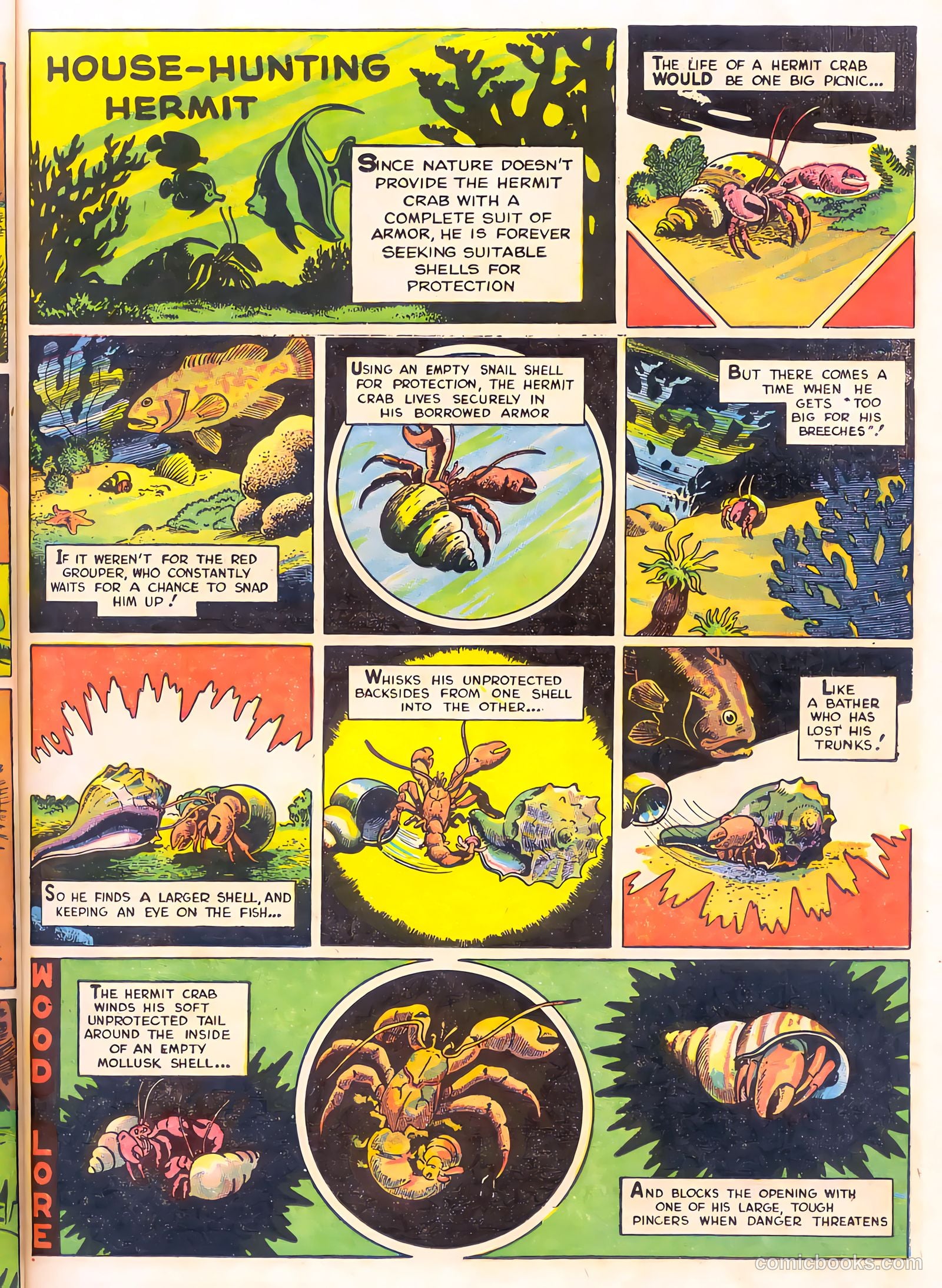 Mark Trail's Adventure Book of Nature #1 (1958) — page 31 of 84
