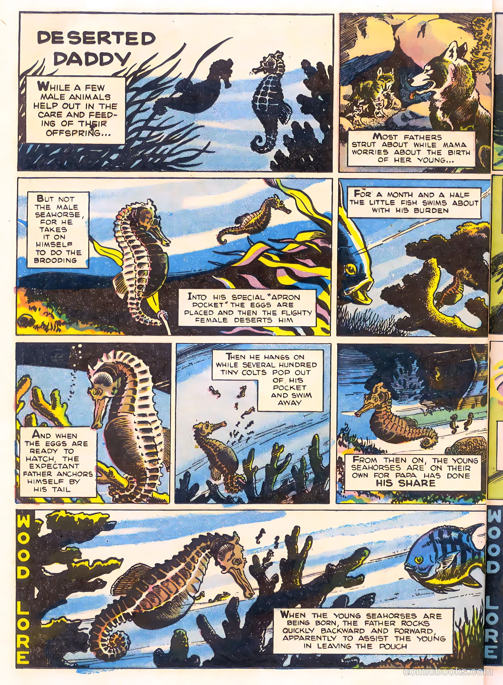 Mark Trail's Adventure Book of Nature #1 (1958) — page 32 of 84