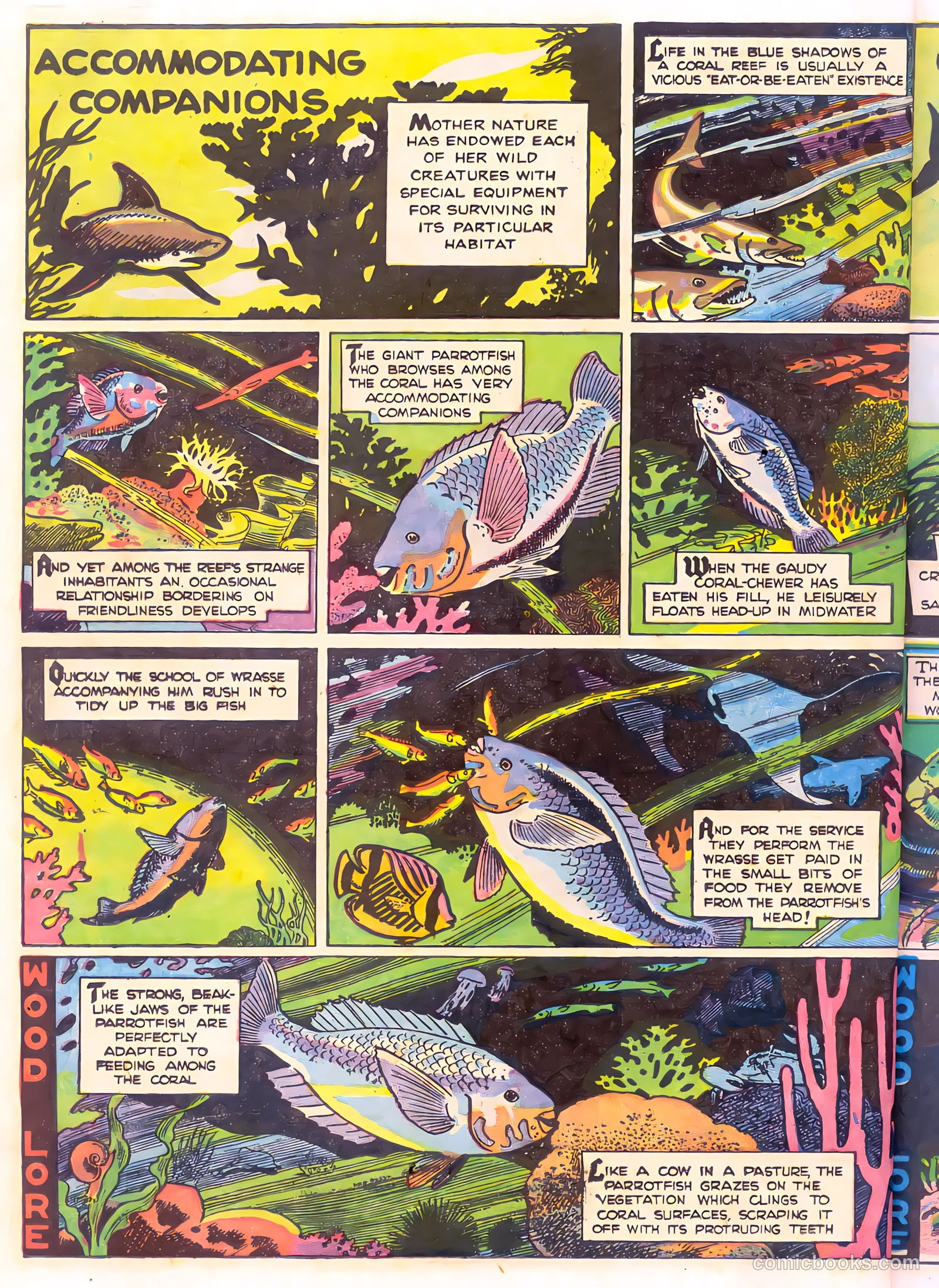 Mark Trail's Adventure Book of Nature #1 (1958) — page 34 of 84