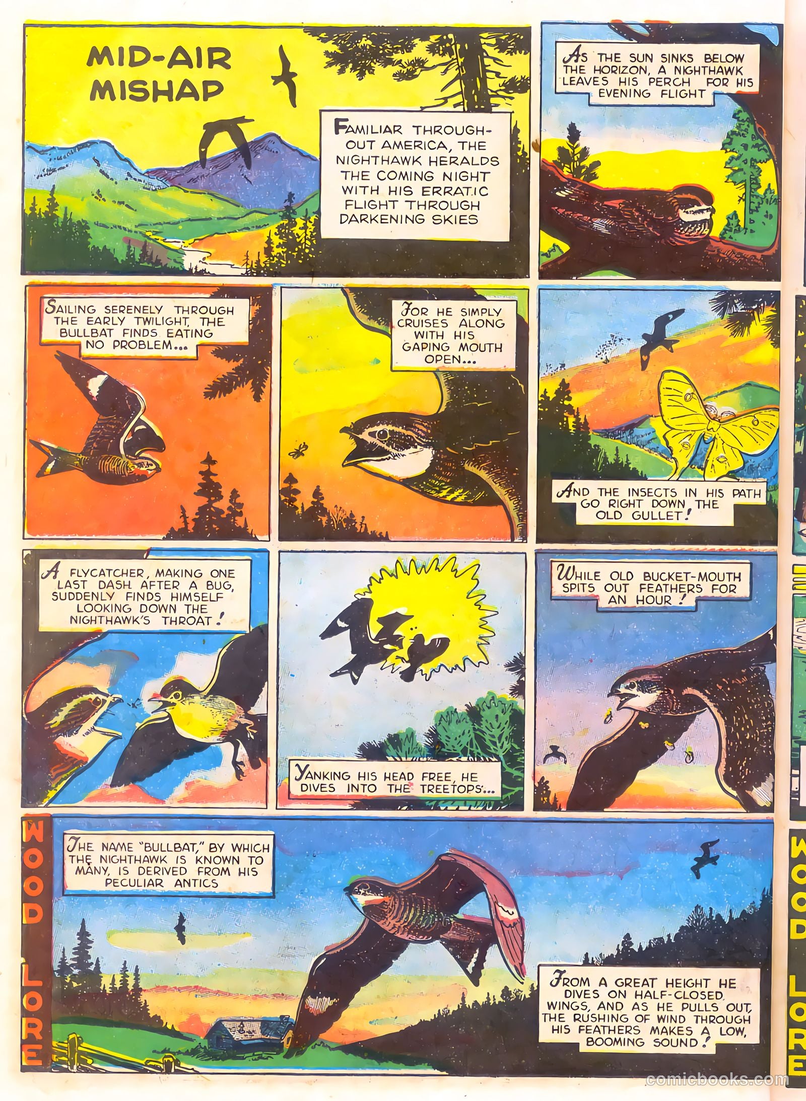 Mark Trail's Adventure Book of Nature #1 (1958) — page 38 of 84