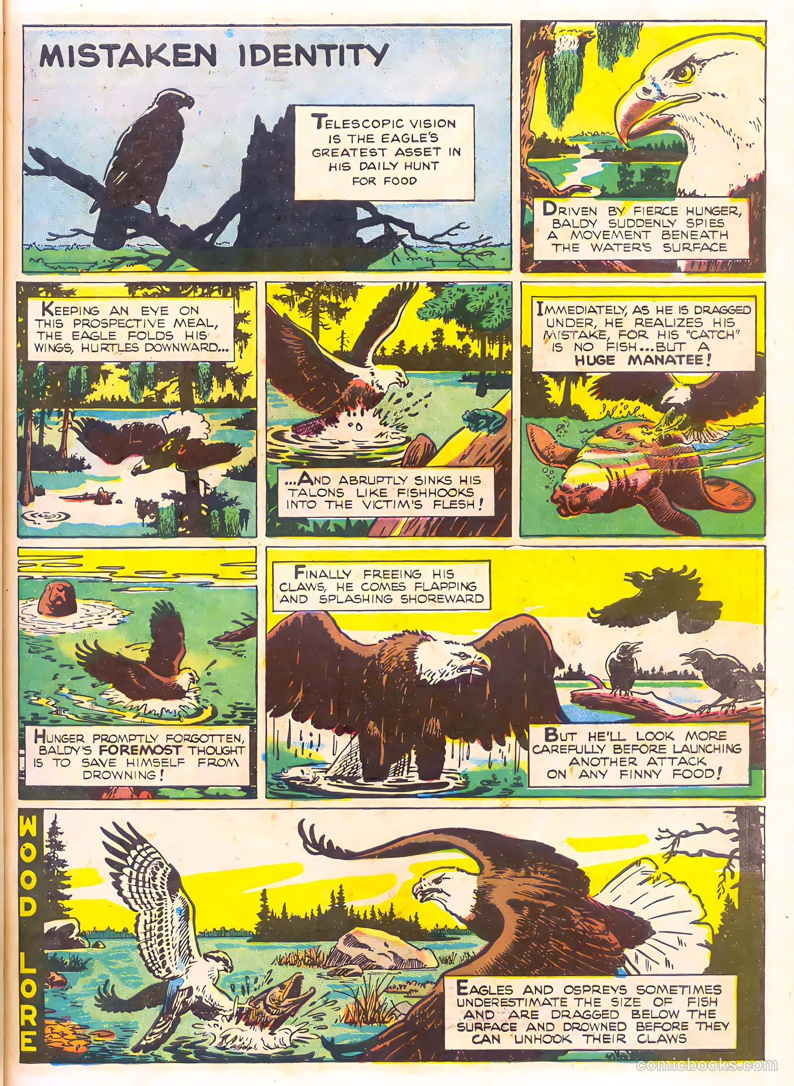 Mark Trail's Adventure Book of Nature #1 (1958) — page 39 of 84