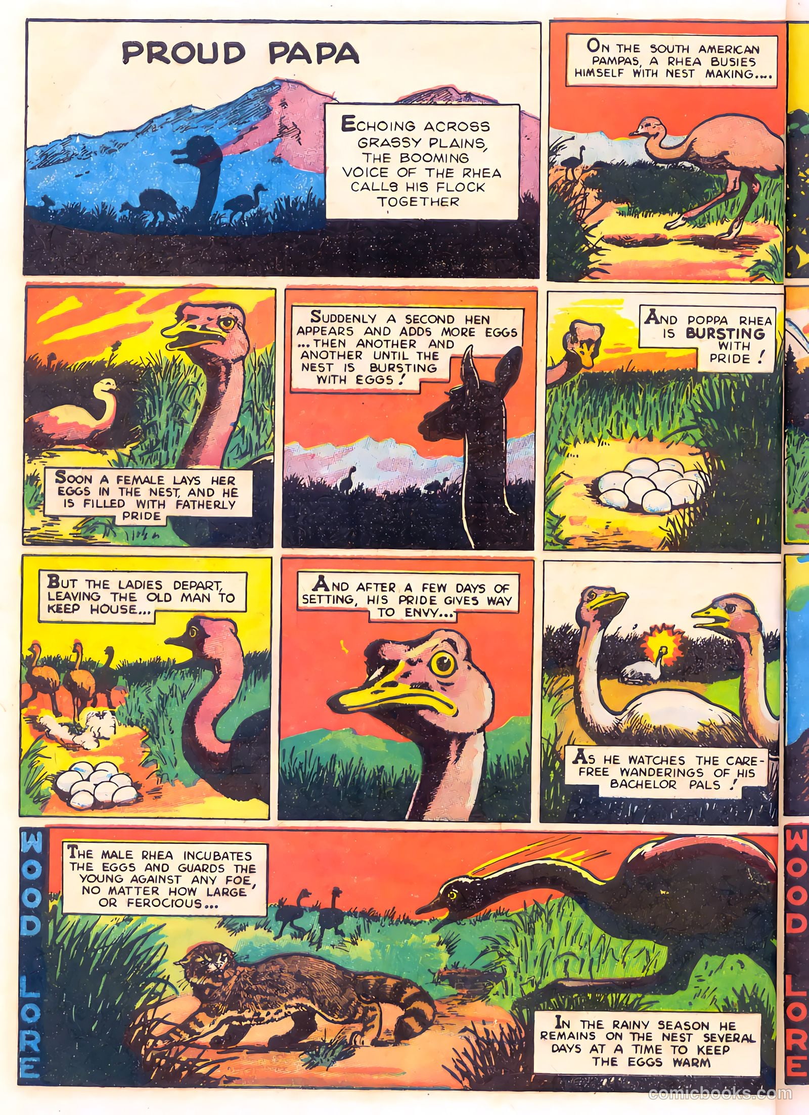 Mark Trail's Adventure Book of Nature #1 (1958) — page 40 of 84