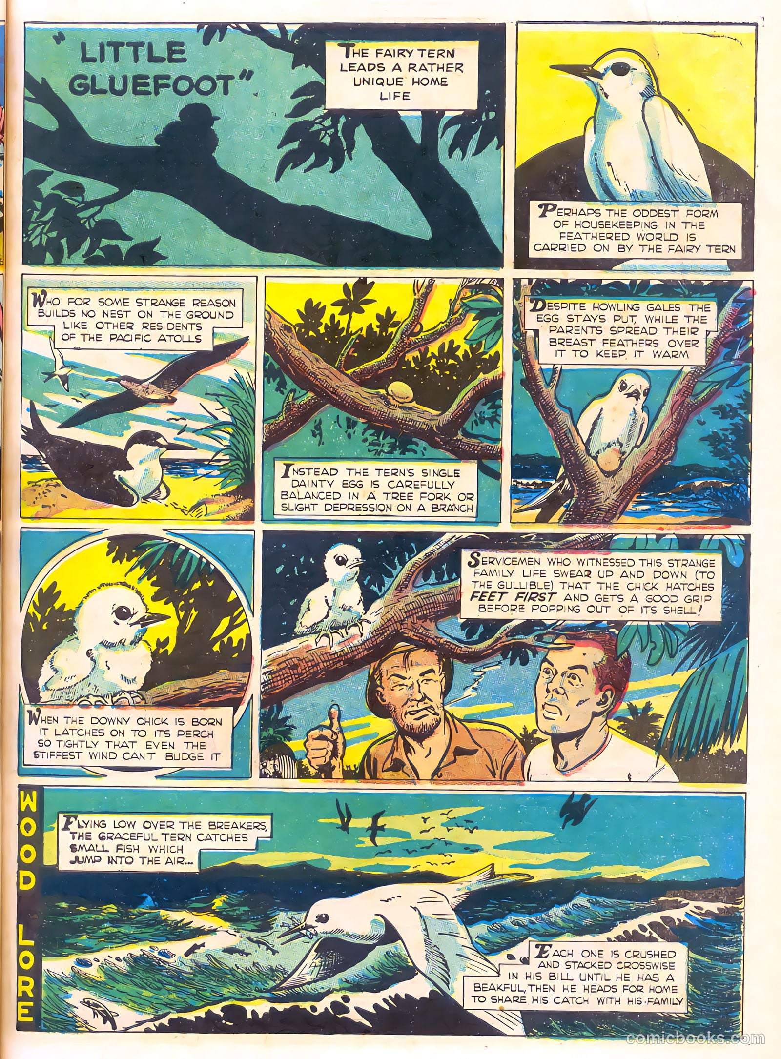 Mark Trail's Adventure Book of Nature #1 (1958) — page 43 of 84