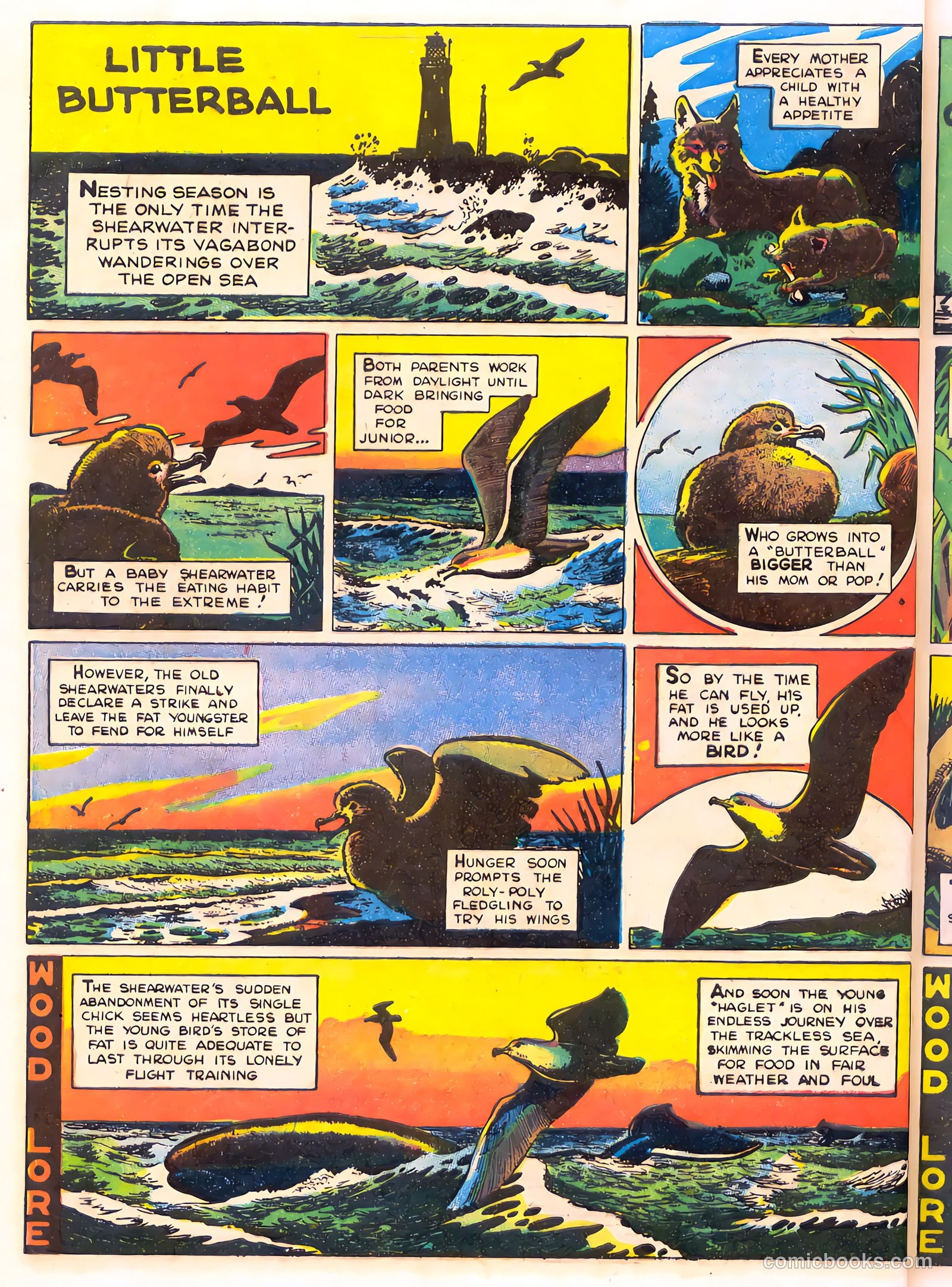 Mark Trail's Adventure Book of Nature #1 (1958) — page 44 of 84