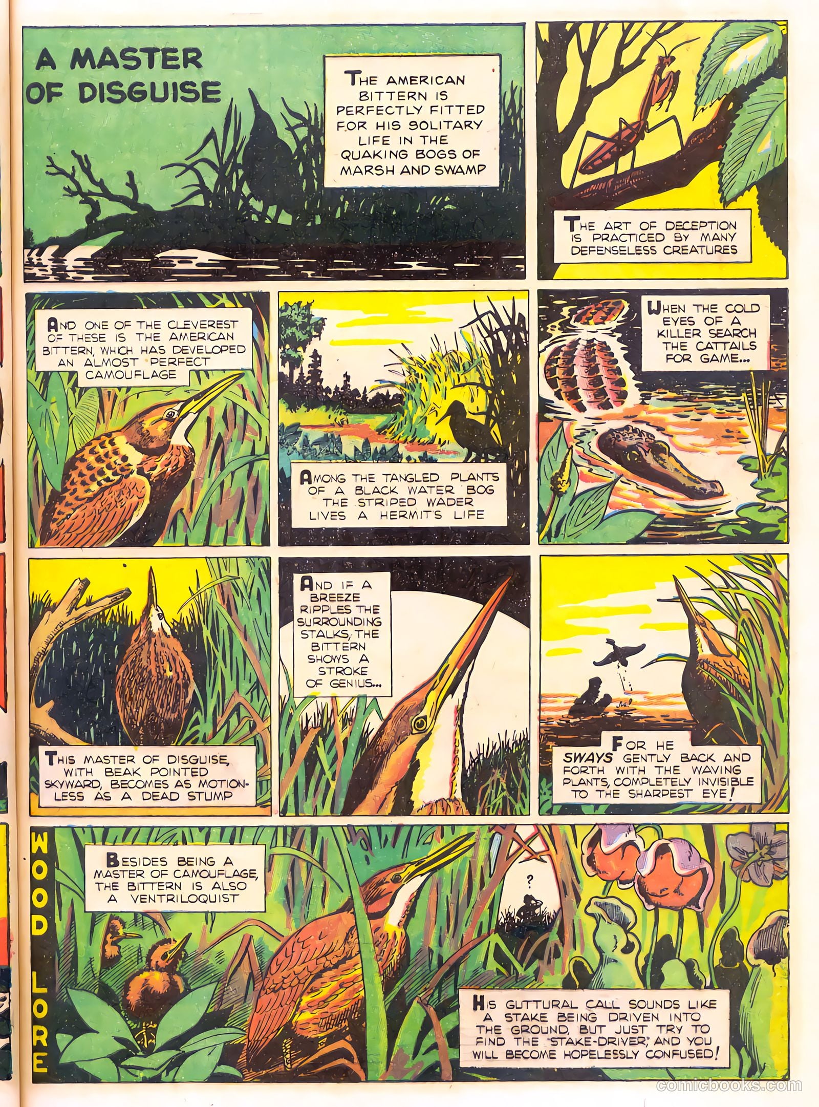 Mark Trail's Adventure Book of Nature #1 (1958) — page 45 of 84