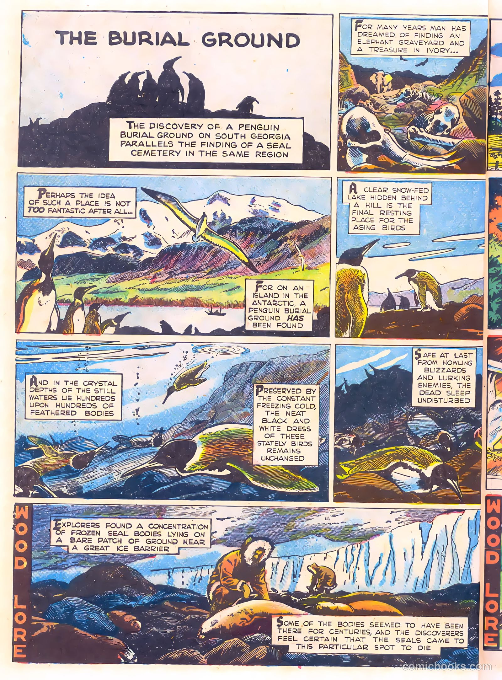 Mark Trail's Adventure Book of Nature #1 (1958) — page 46 of 84