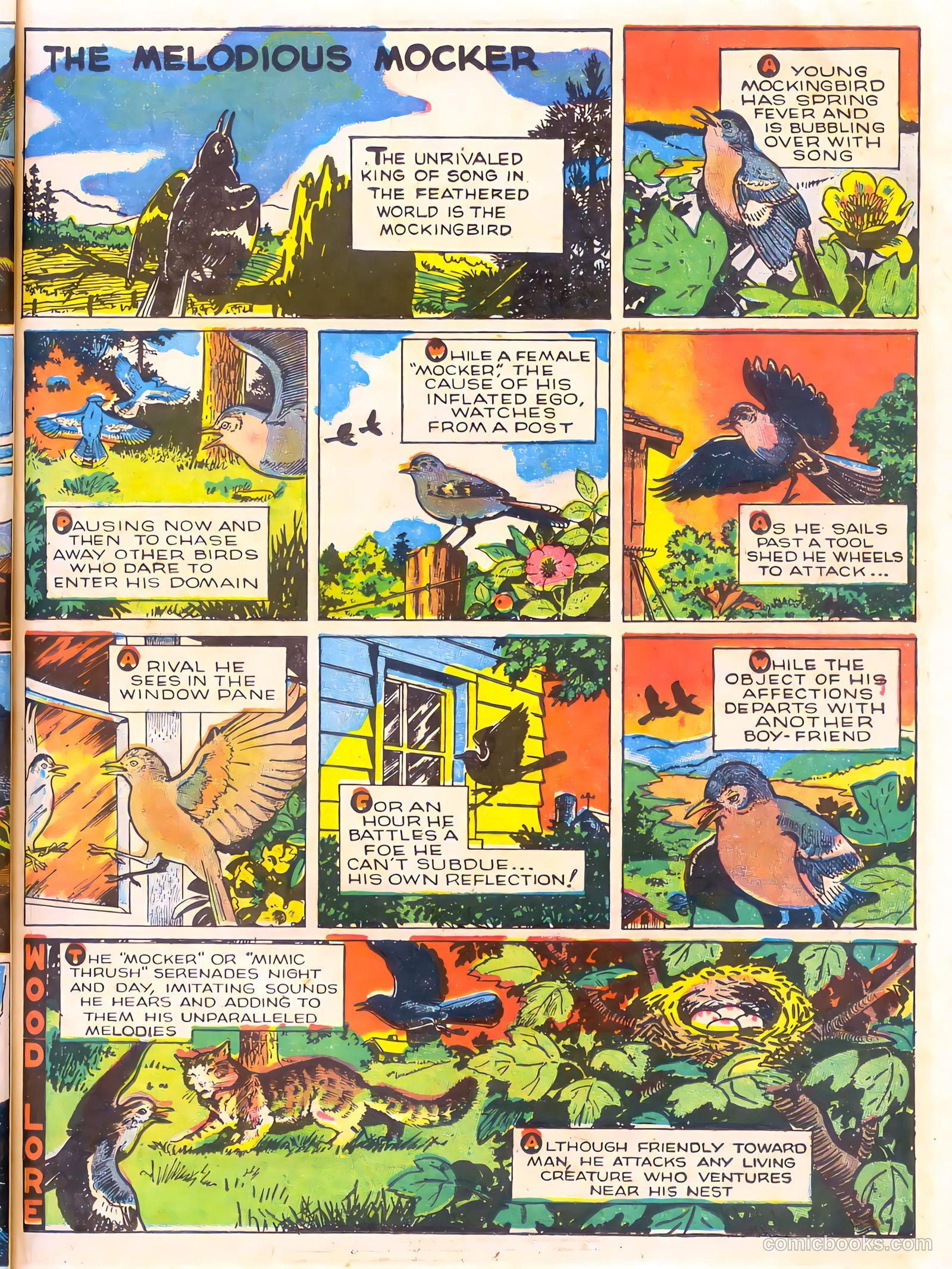 Mark Trail's Adventure Book of Nature #1 (1958) — page 47 of 84