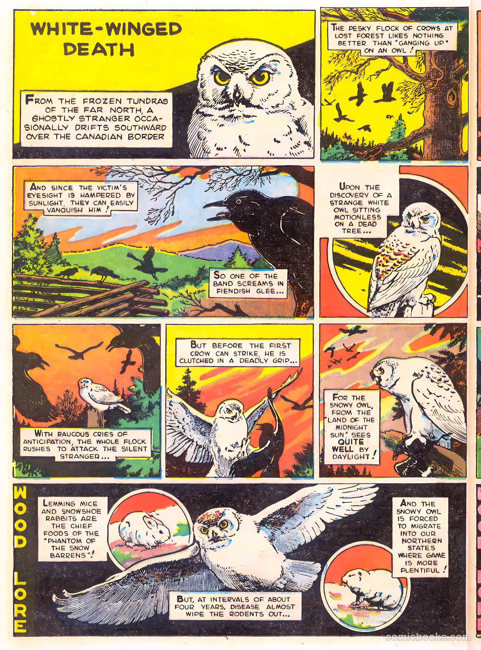 Mark Trail's Adventure Book of Nature #1 (1958) — page 48 of 84