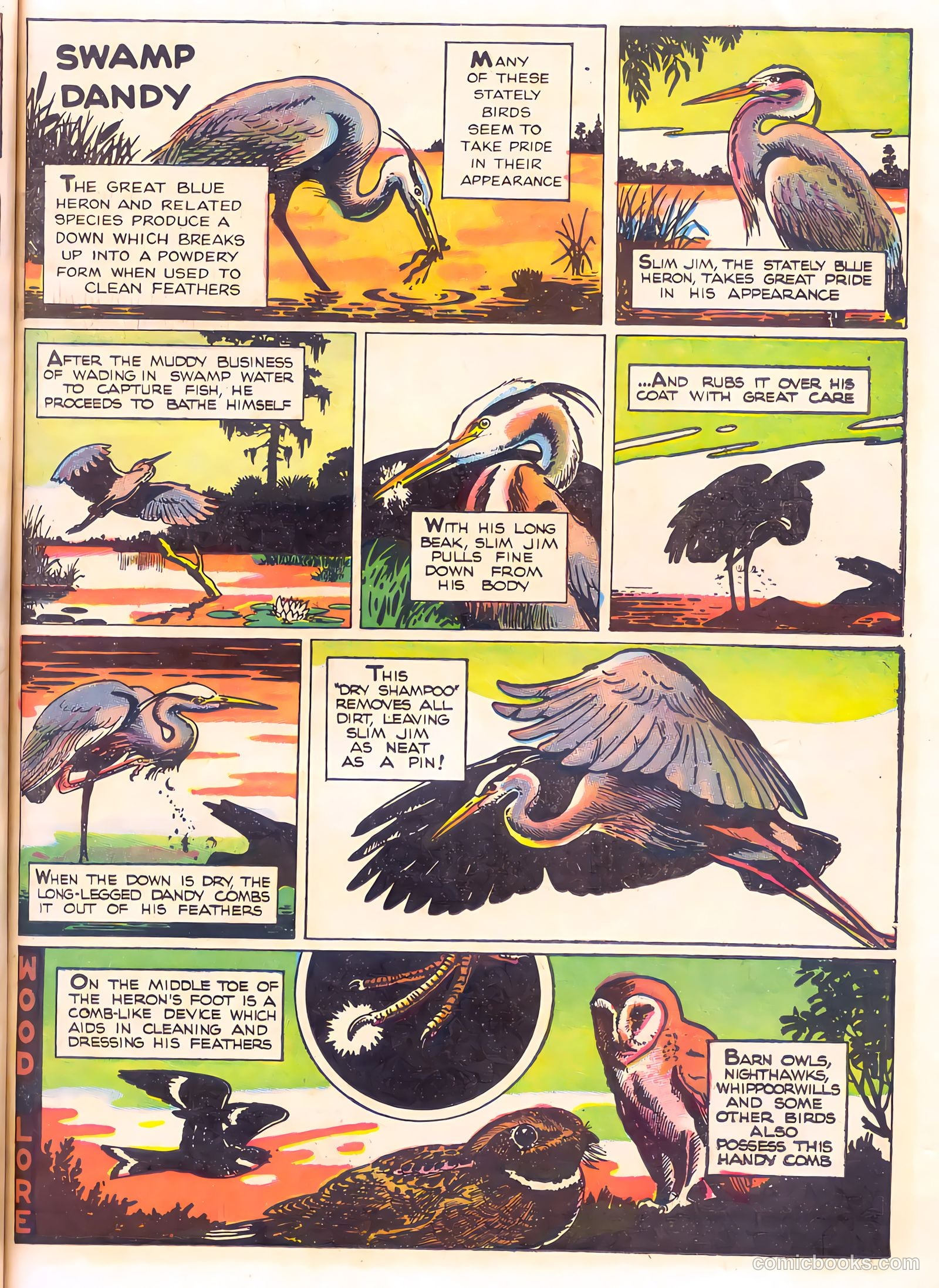 Mark Trail's Adventure Book of Nature #1 (1958) — page 51 of 84