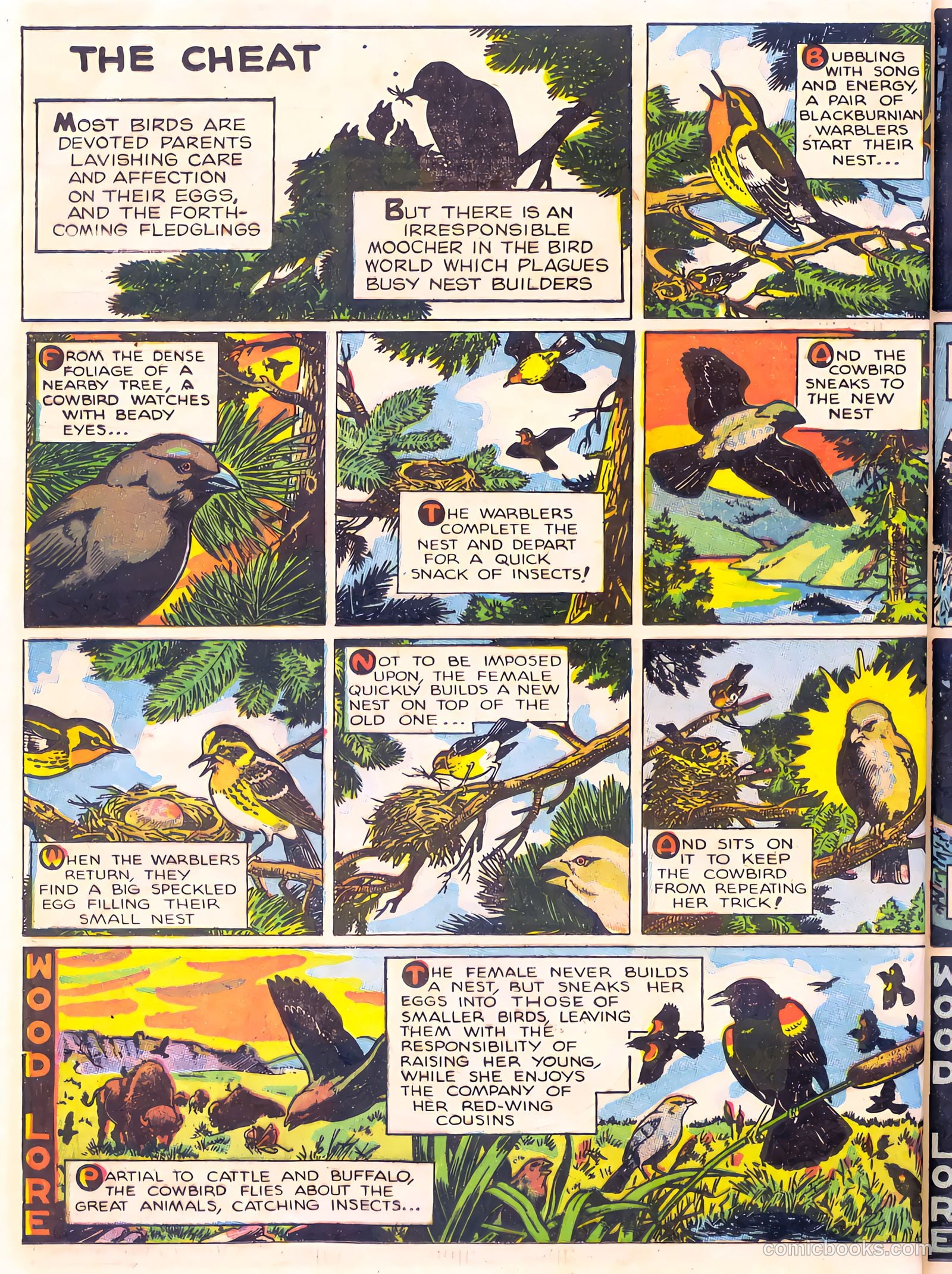 Mark Trail's Adventure Book of Nature #1 (1958) — page 52 of 84