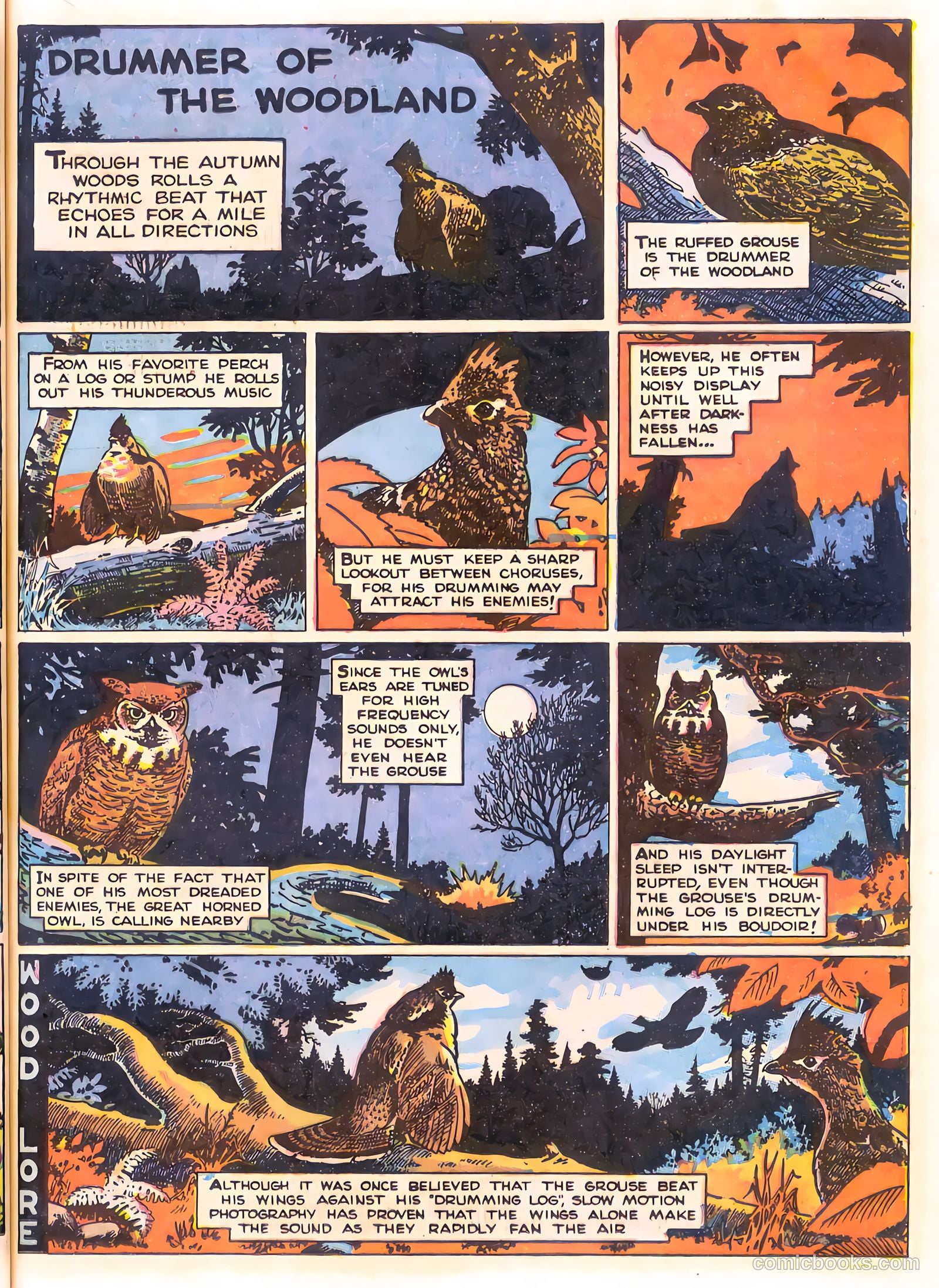 Mark Trail's Adventure Book of Nature #1 (1958) — page 53 of 84