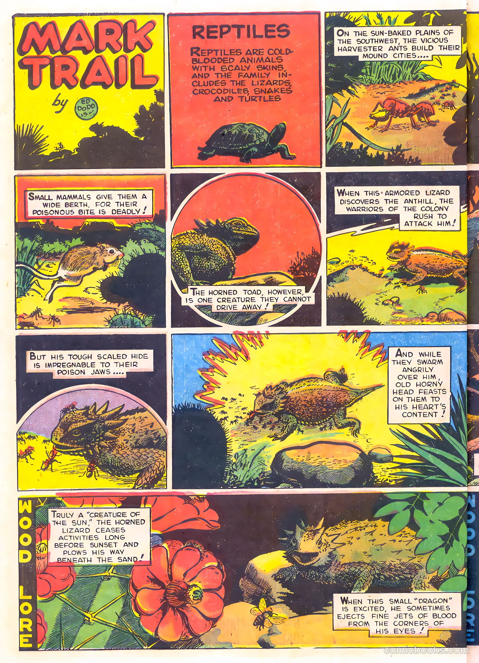 Mark Trail's Adventure Book of Nature #1 (1958) — page 54 of 84