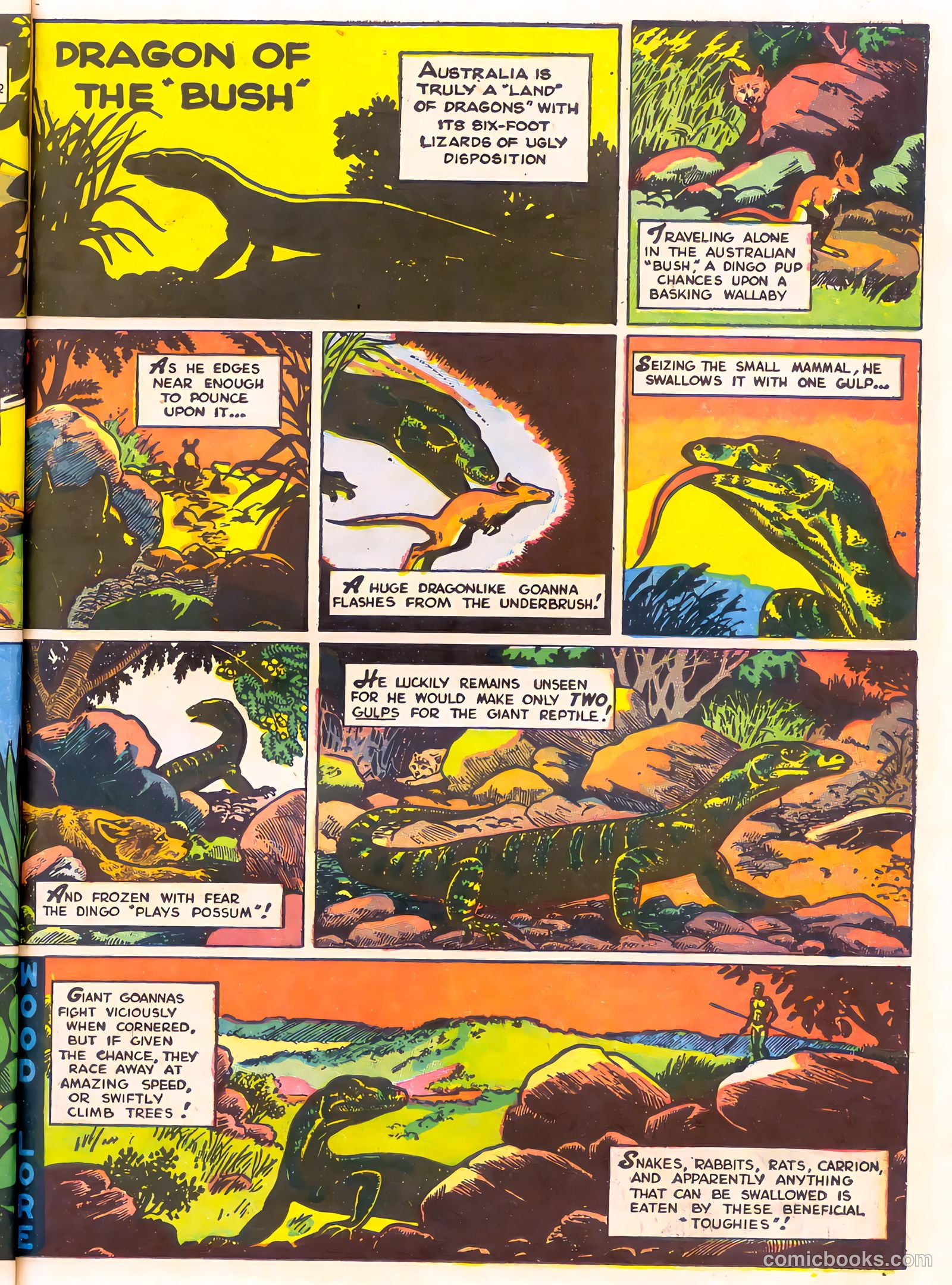Mark Trail's Adventure Book of Nature #1 (1958) — page 55 of 84