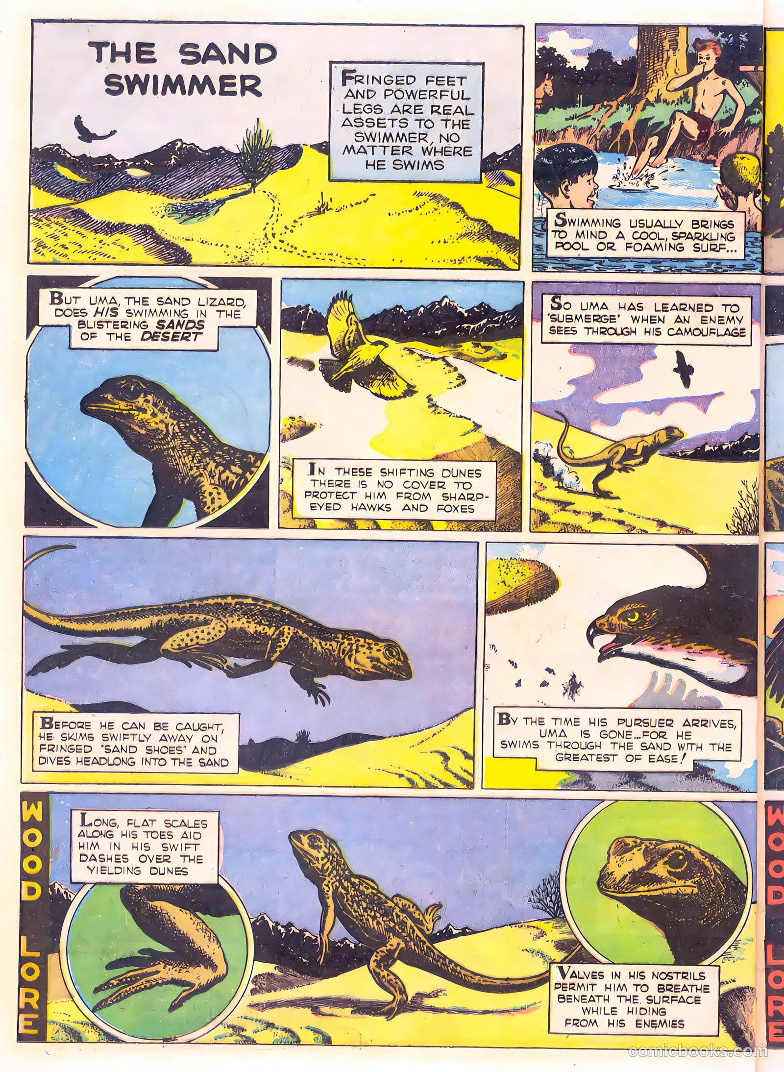 Mark Trail's Adventure Book of Nature #1 (1958) — page 56 of 84