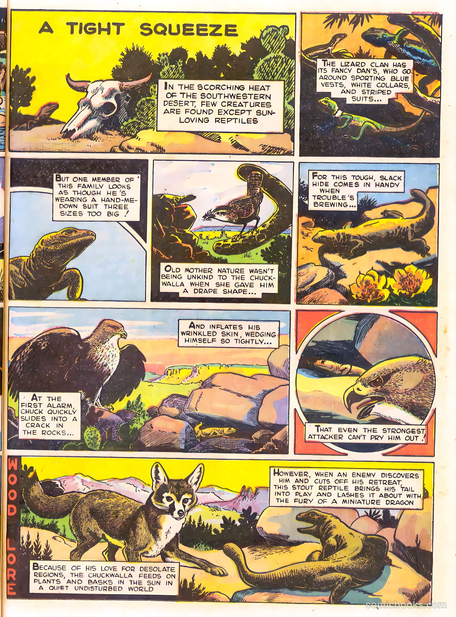 Mark Trail's Adventure Book of Nature #1 (1958) — page 57 of 84