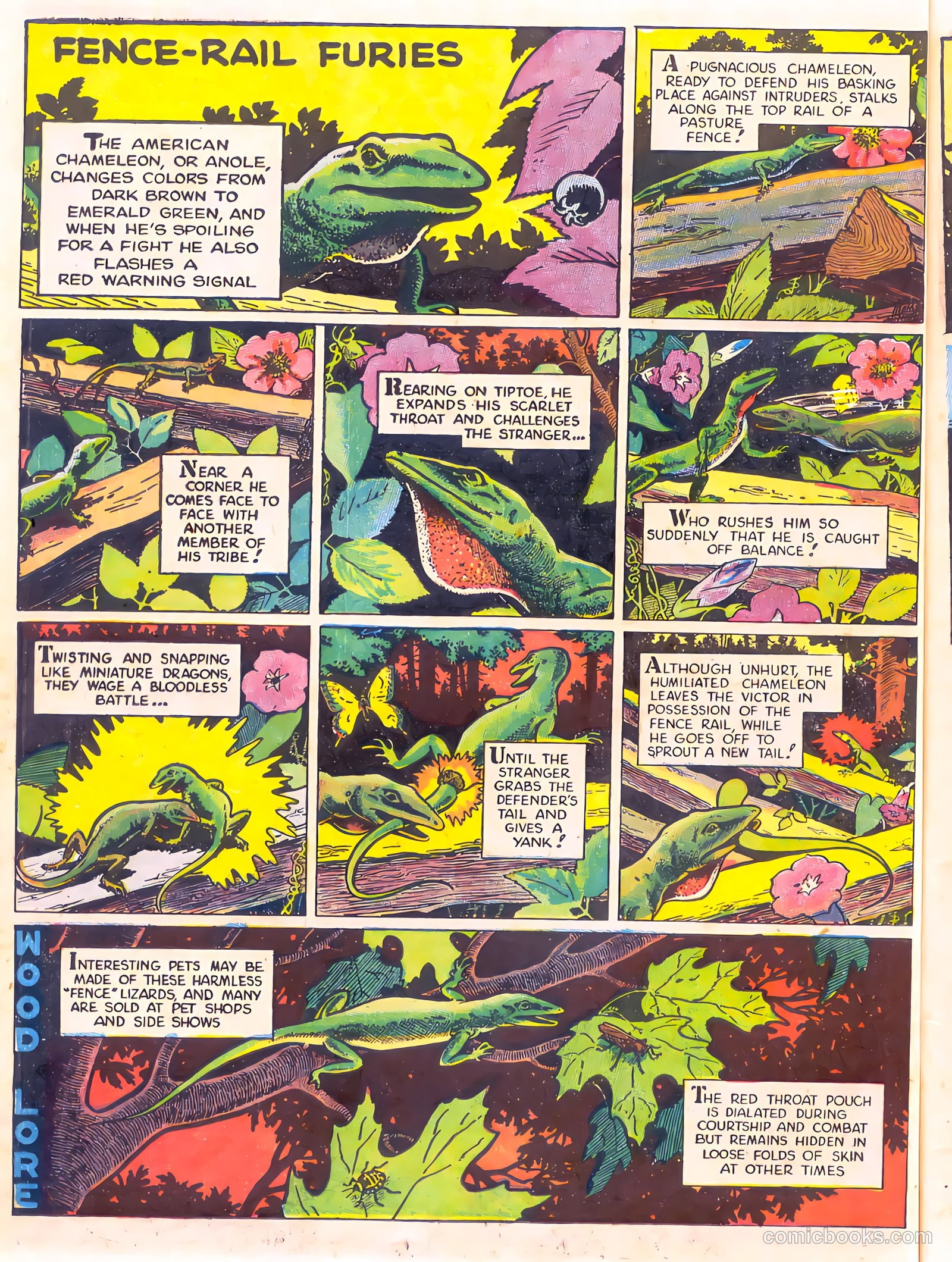 Mark Trail's Adventure Book of Nature #1 (1958) — page 58 of 84