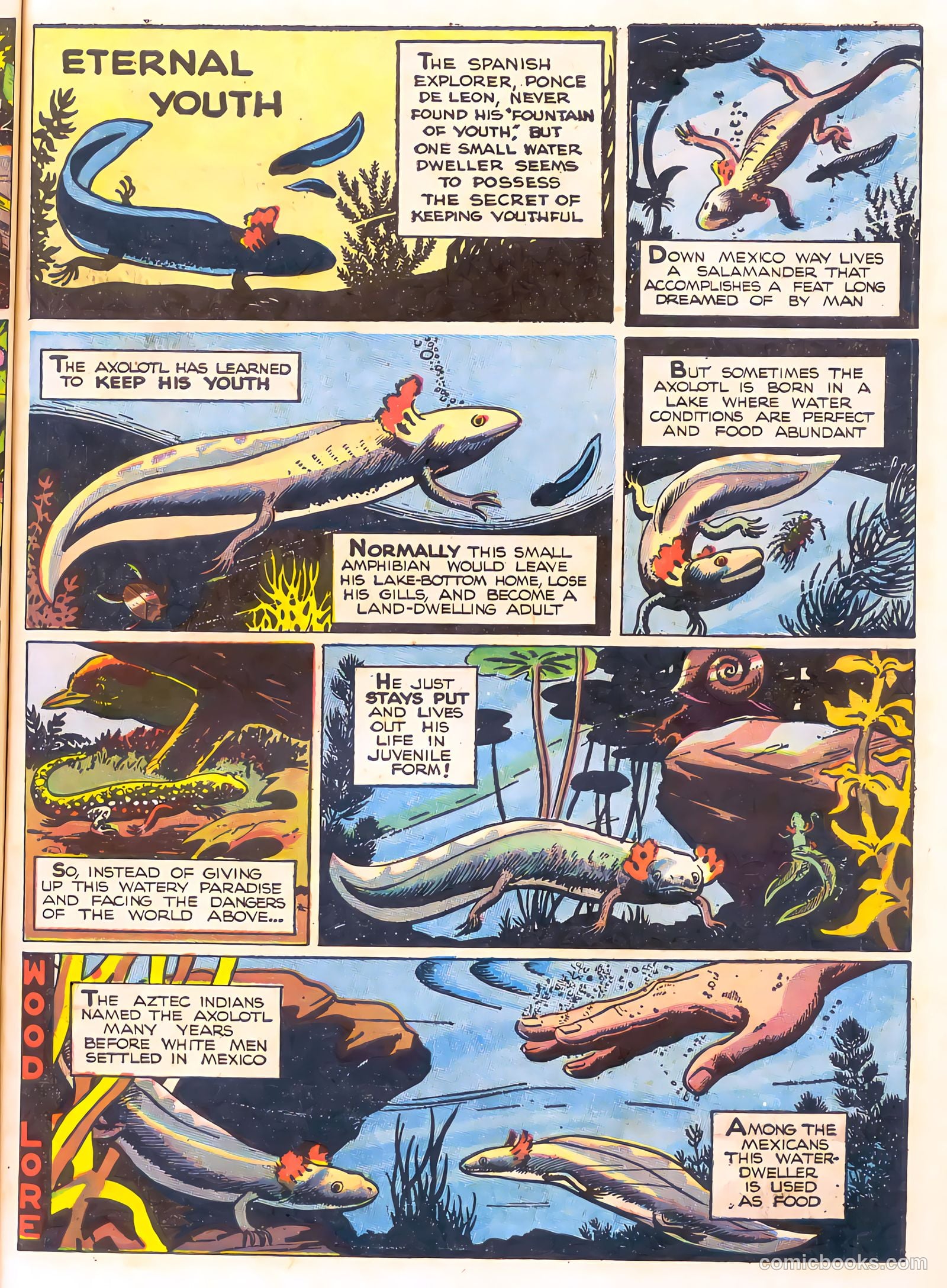 Mark Trail's Adventure Book of Nature #1 (1958) — page 59 of 84