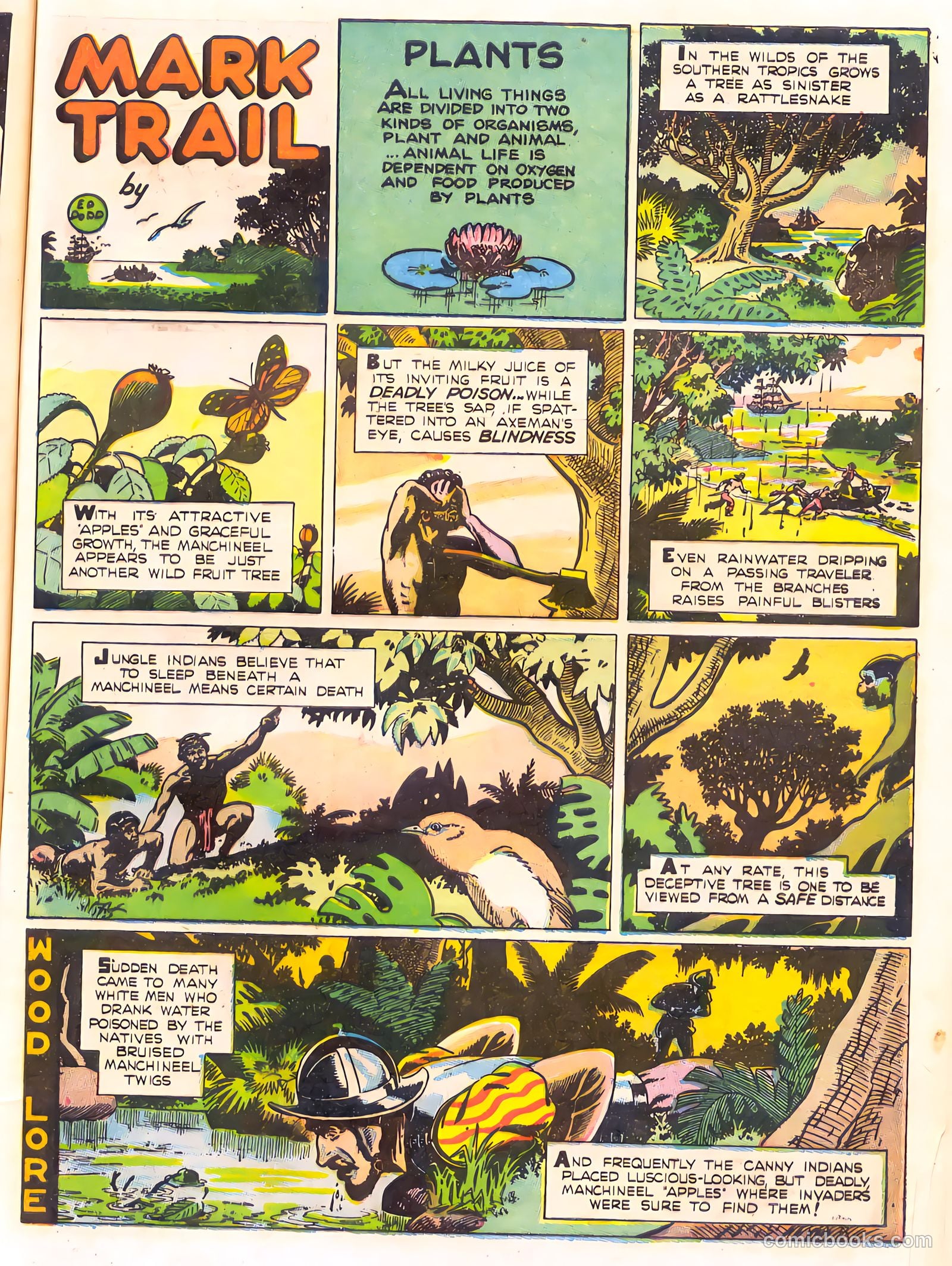 Mark Trail's Adventure Book of Nature #1 (1958) — page 61 of 84