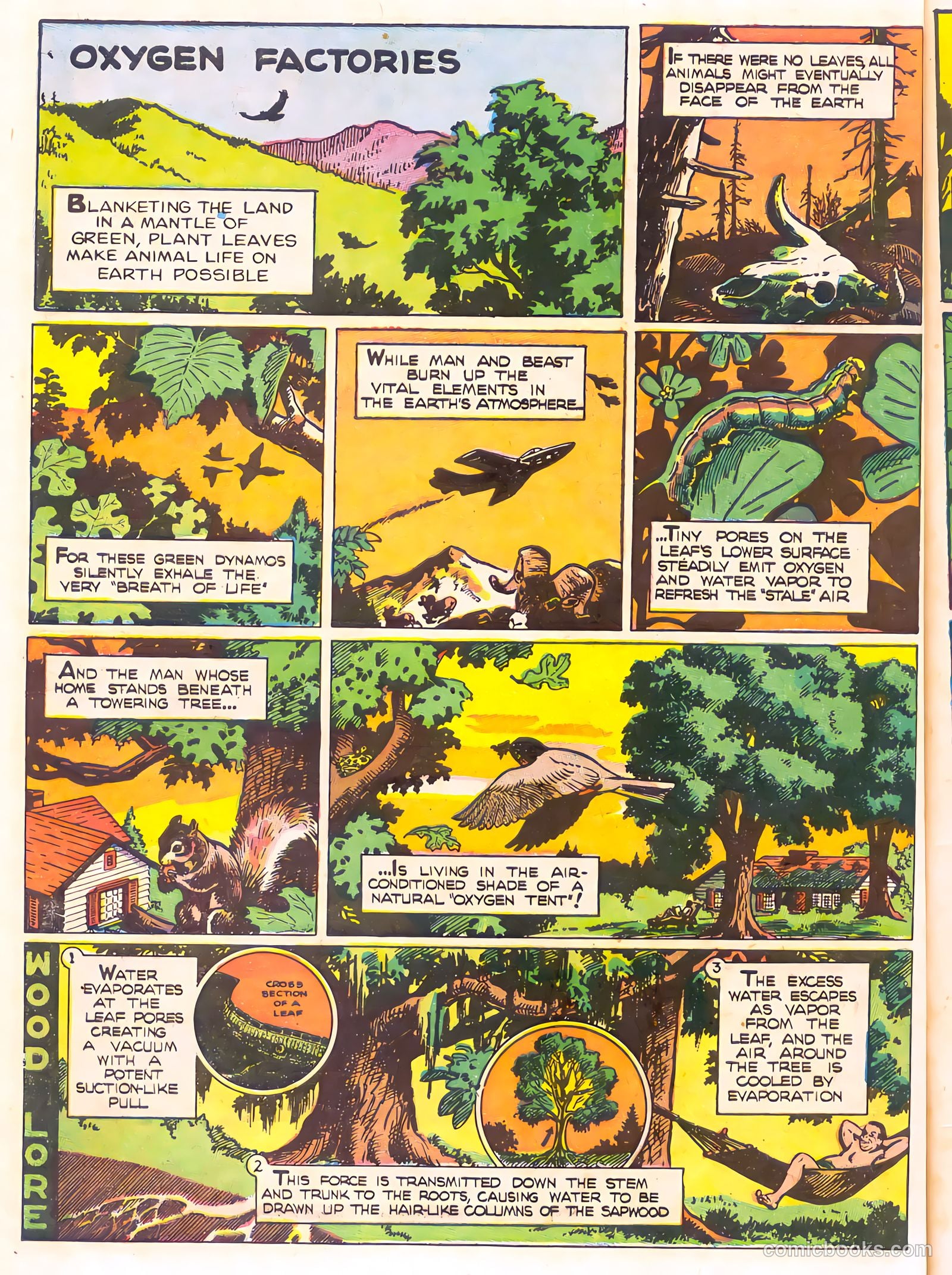 Mark Trail's Adventure Book of Nature #1 (1958) — page 62 of 84
