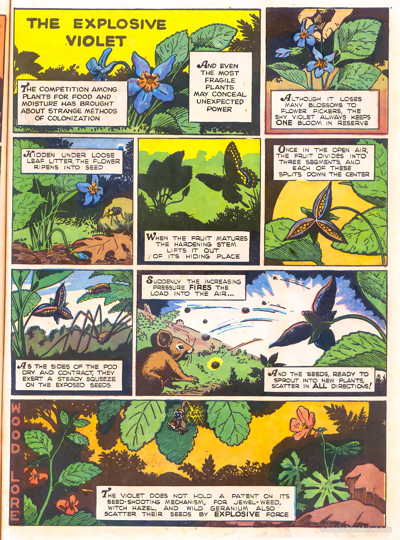 Mark Trail's Adventure Book of Nature #1 (1958) — page 63 of 84