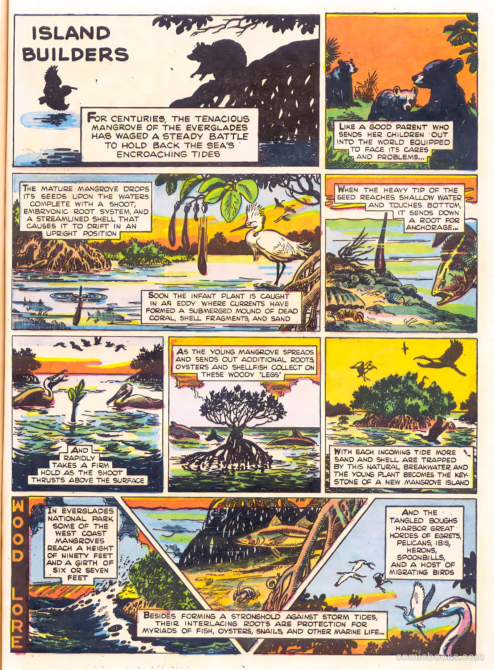 Mark Trail's Adventure Book of Nature #1 (1958) — page 65 of 84