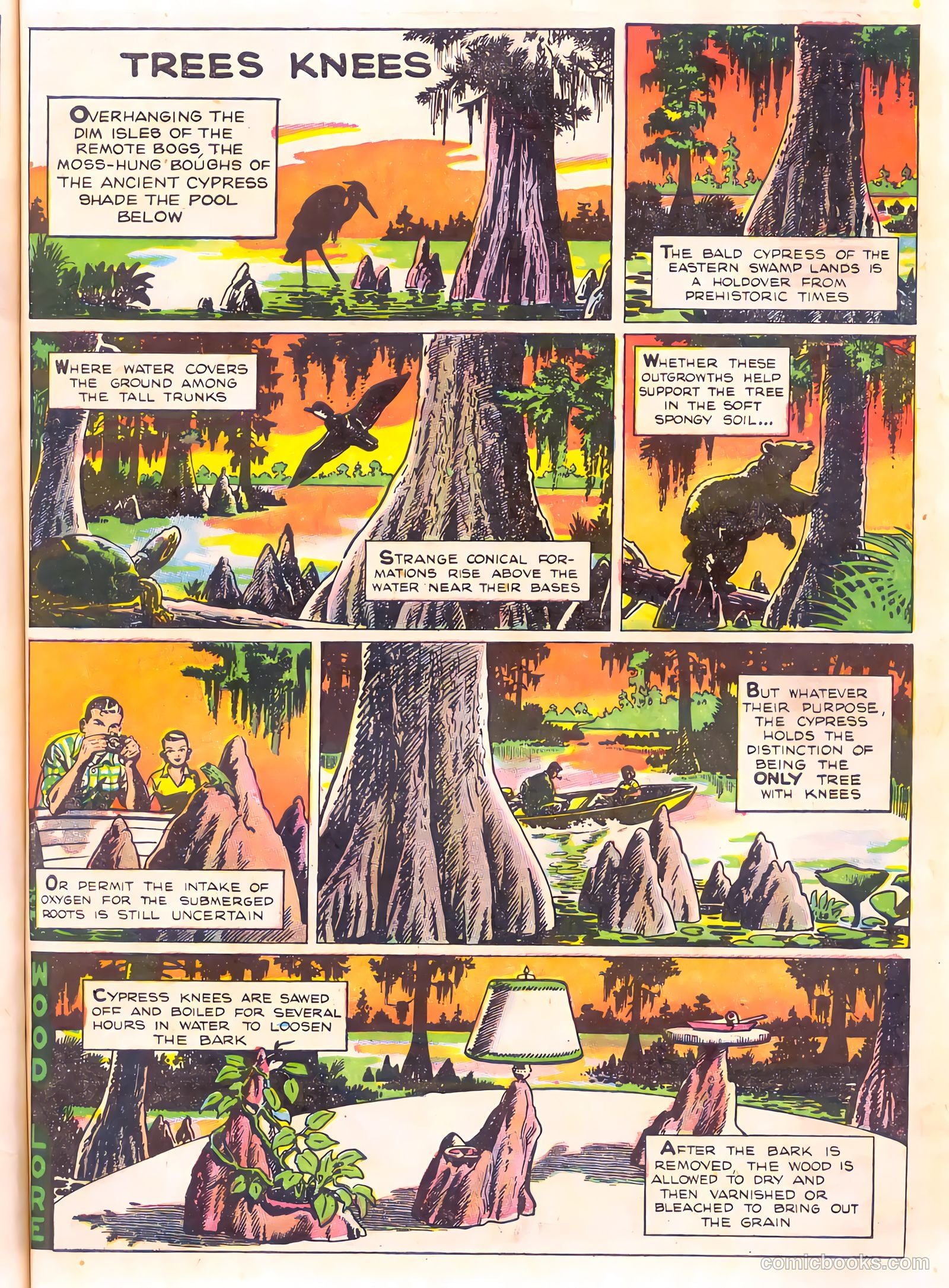 Mark Trail's Adventure Book of Nature #1 (1958) — page 67 of 84