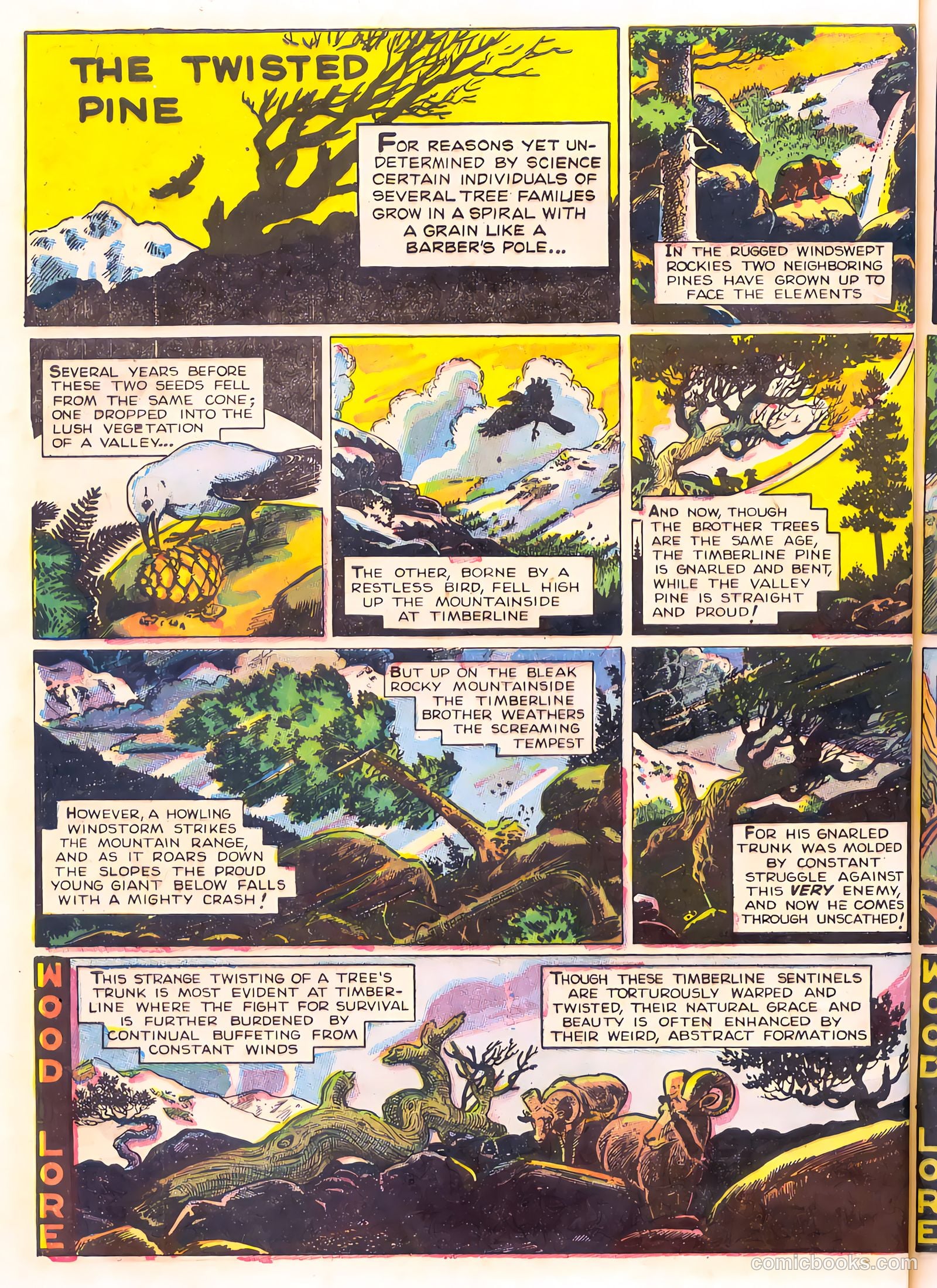 Mark Trail's Adventure Book of Nature #1 (1958) — page 68 of 84
