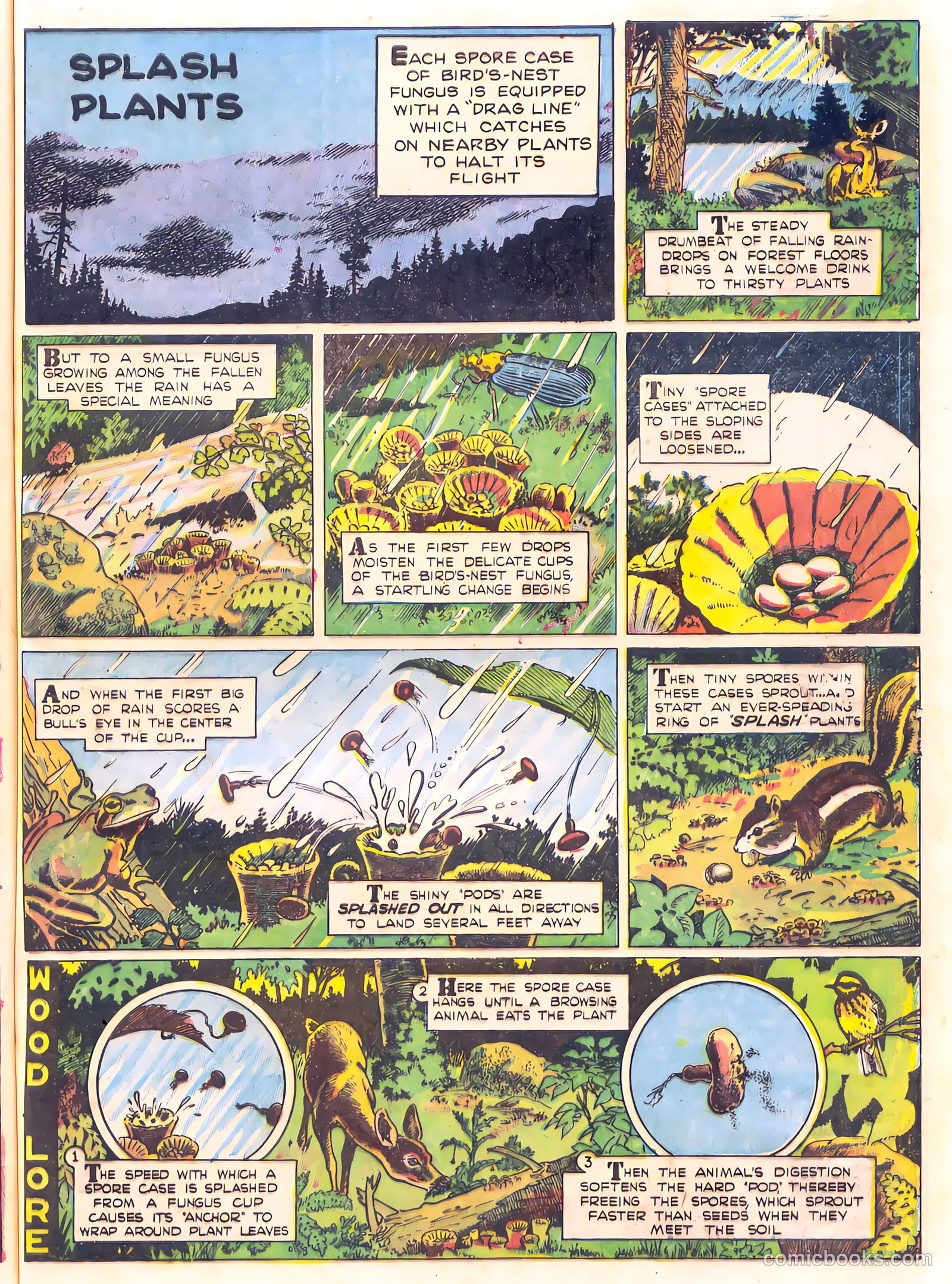 Mark Trail's Adventure Book of Nature #1 (1958) — page 69 of 84