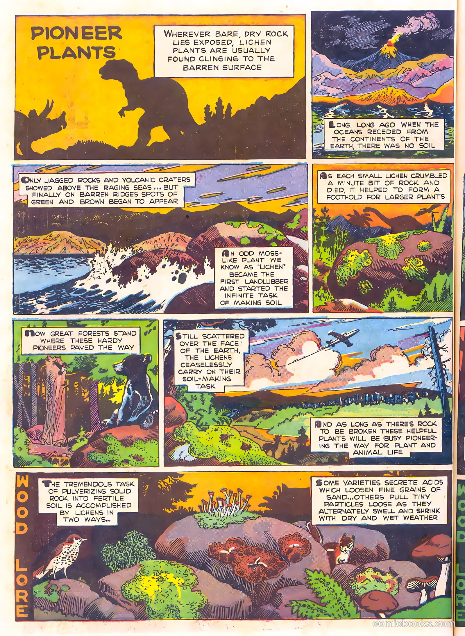 Mark Trail's Adventure Book of Nature #1 (1958) — page 70 of 84