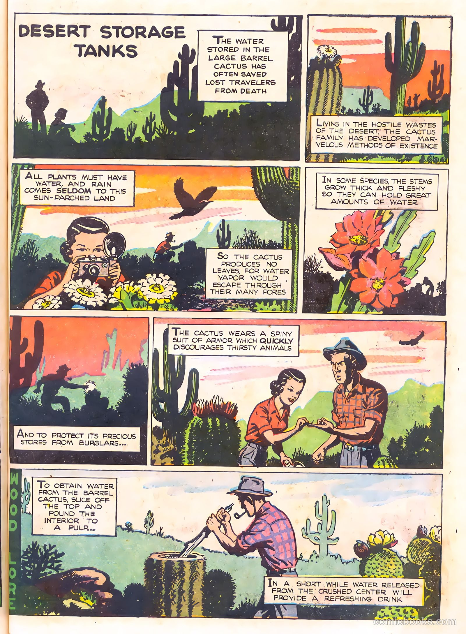 Mark Trail's Adventure Book of Nature #1 (1958) — page 71 of 84