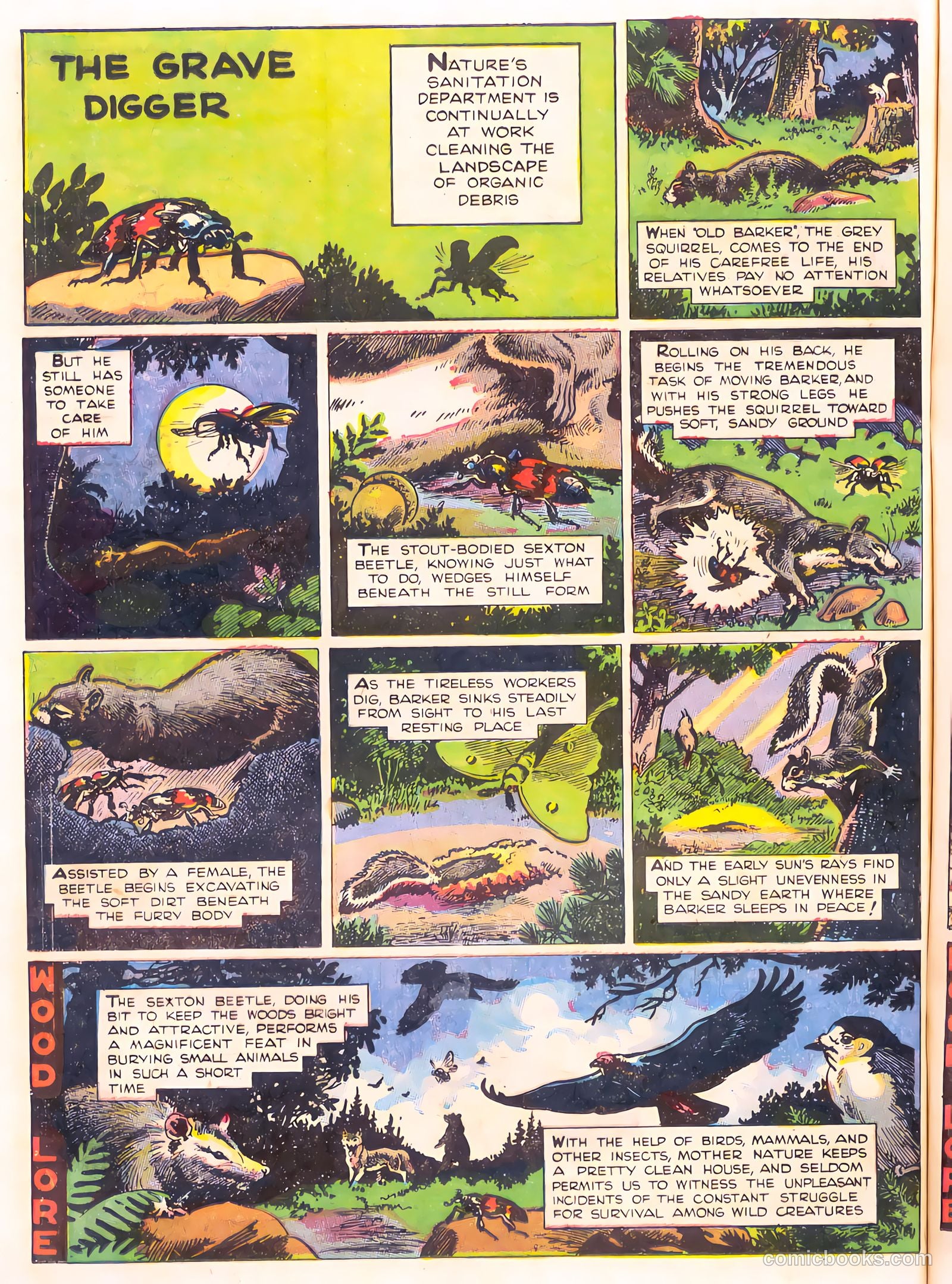 Mark Trail's Adventure Book of Nature #1 (1958) — page 76 of 84