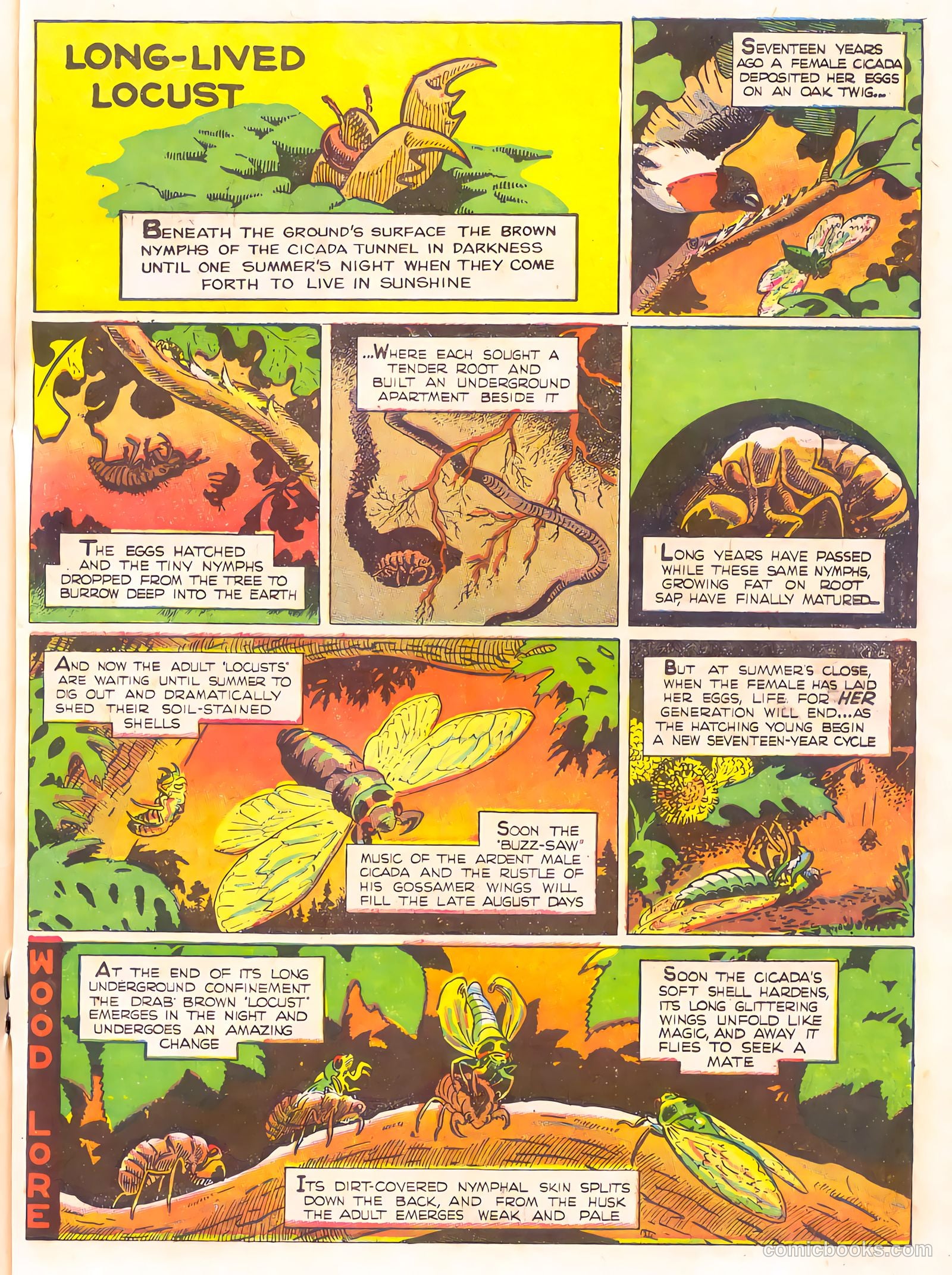 Mark Trail's Adventure Book of Nature #1 (1958) — page 79 of 84