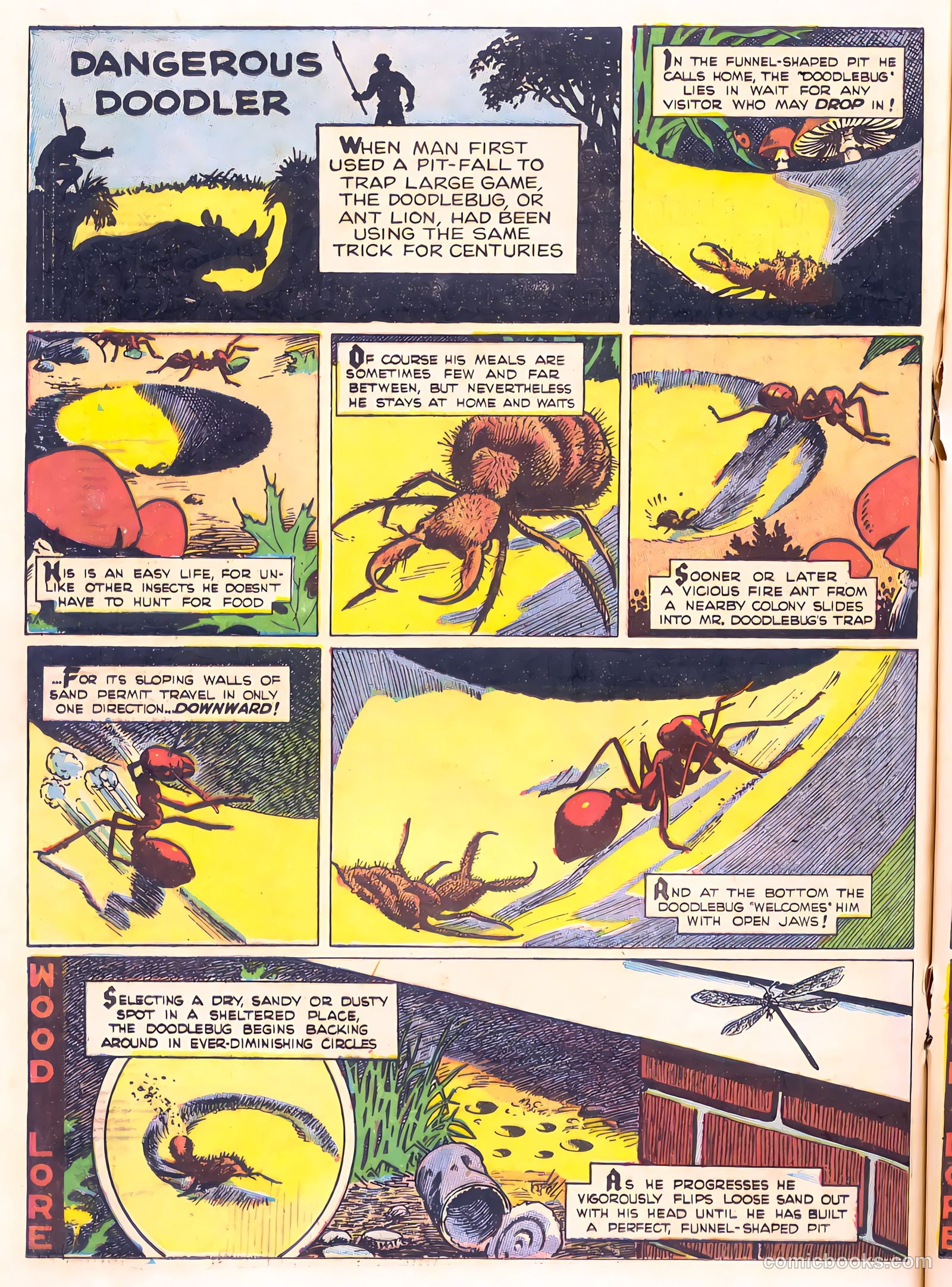 Mark Trail's Adventure Book of Nature #1 (1958) — page 80 of 84