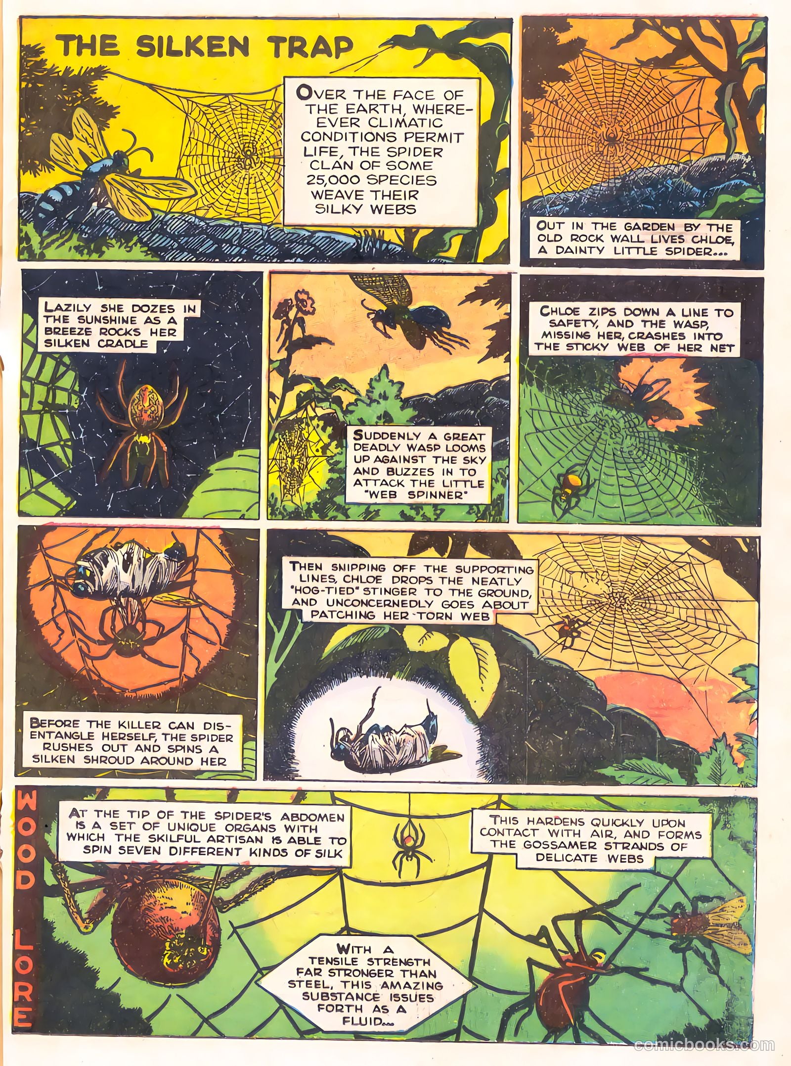 Mark Trail's Adventure Book of Nature #1 (1958) — page 81 of 84