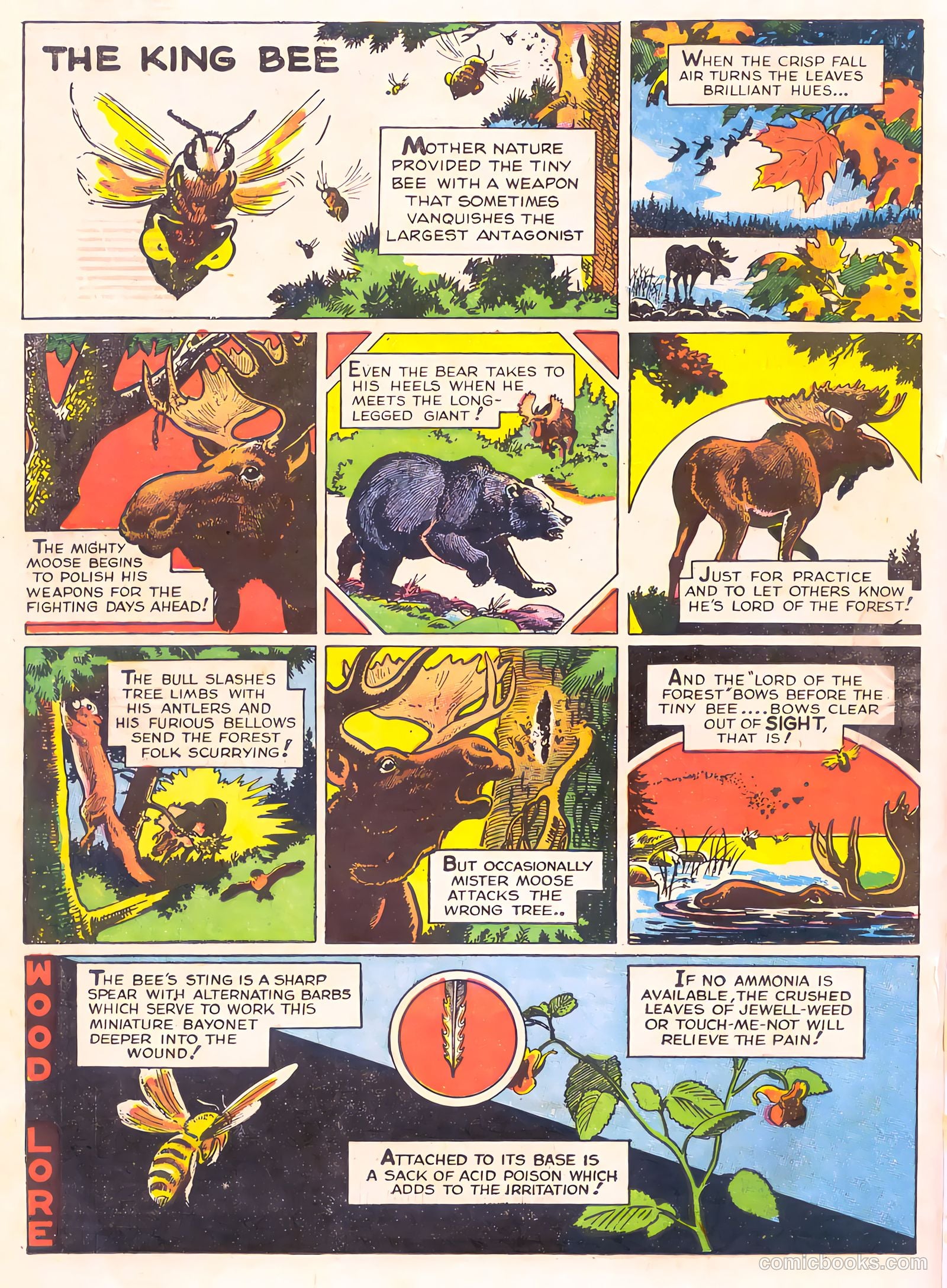 Mark Trail's Adventure Book of Nature #1 (1958) — page 82 of 84