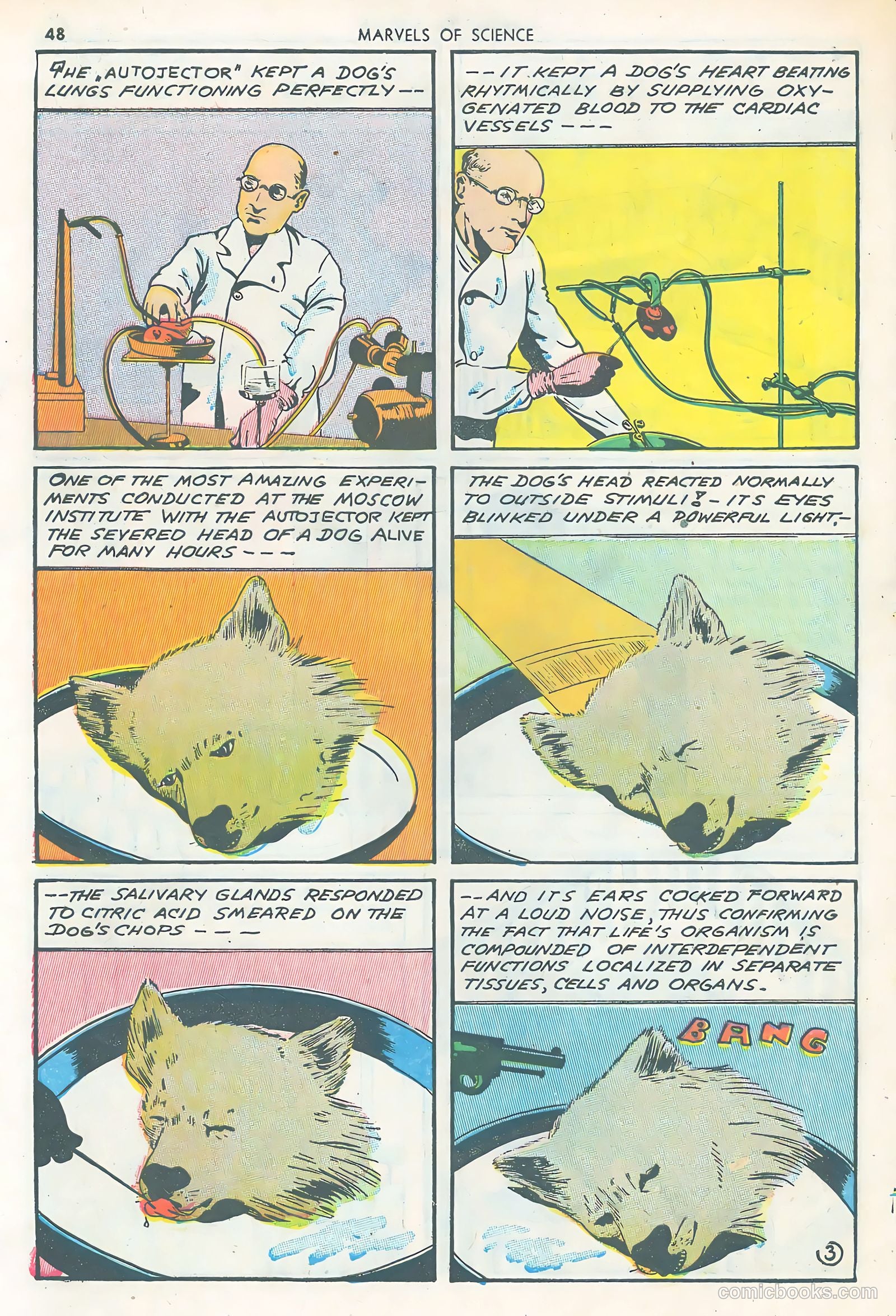 Marvels of Science #1 (1946) — page 50 of 52