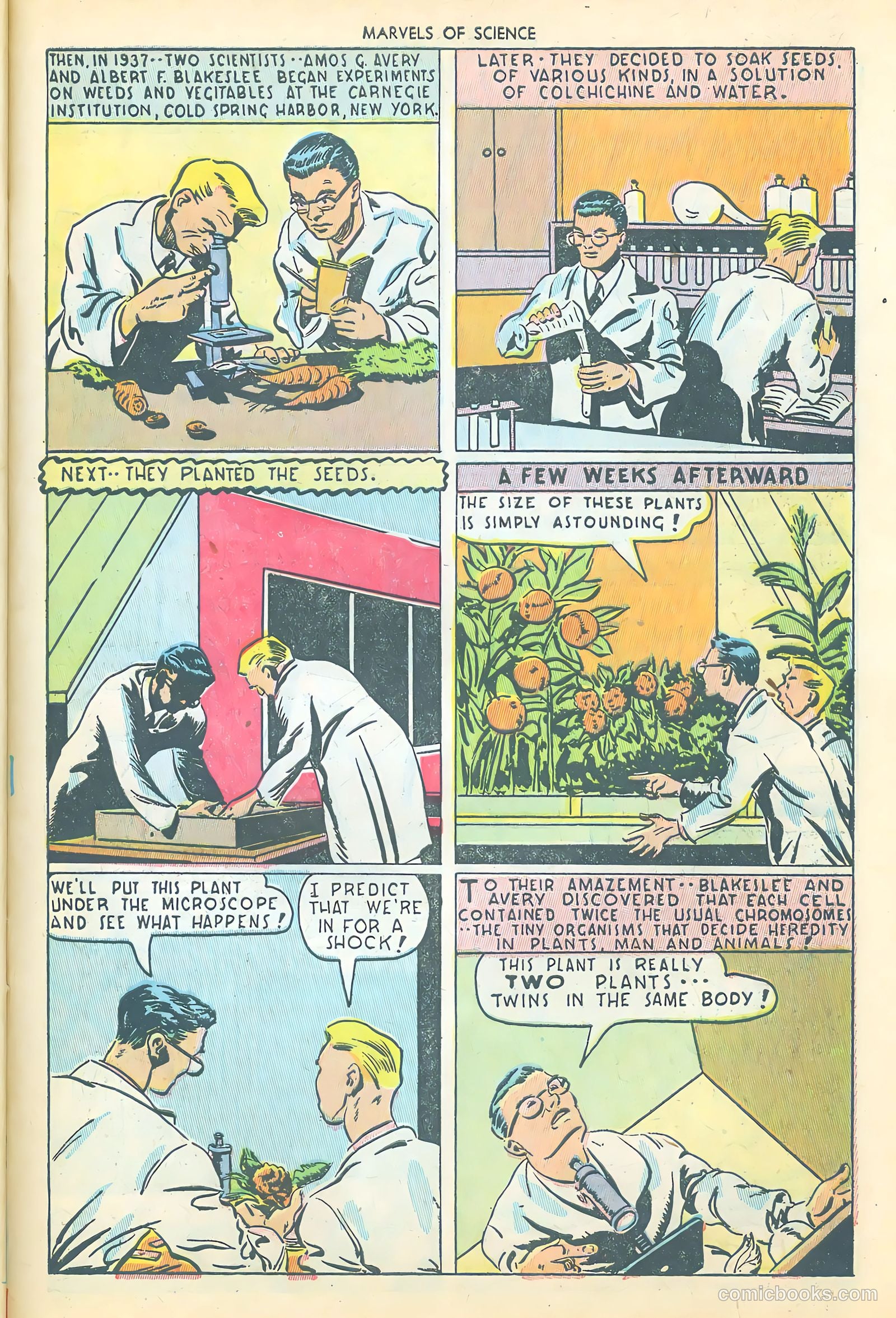 Marvels of Science #2 (1946) — page 39 of 52