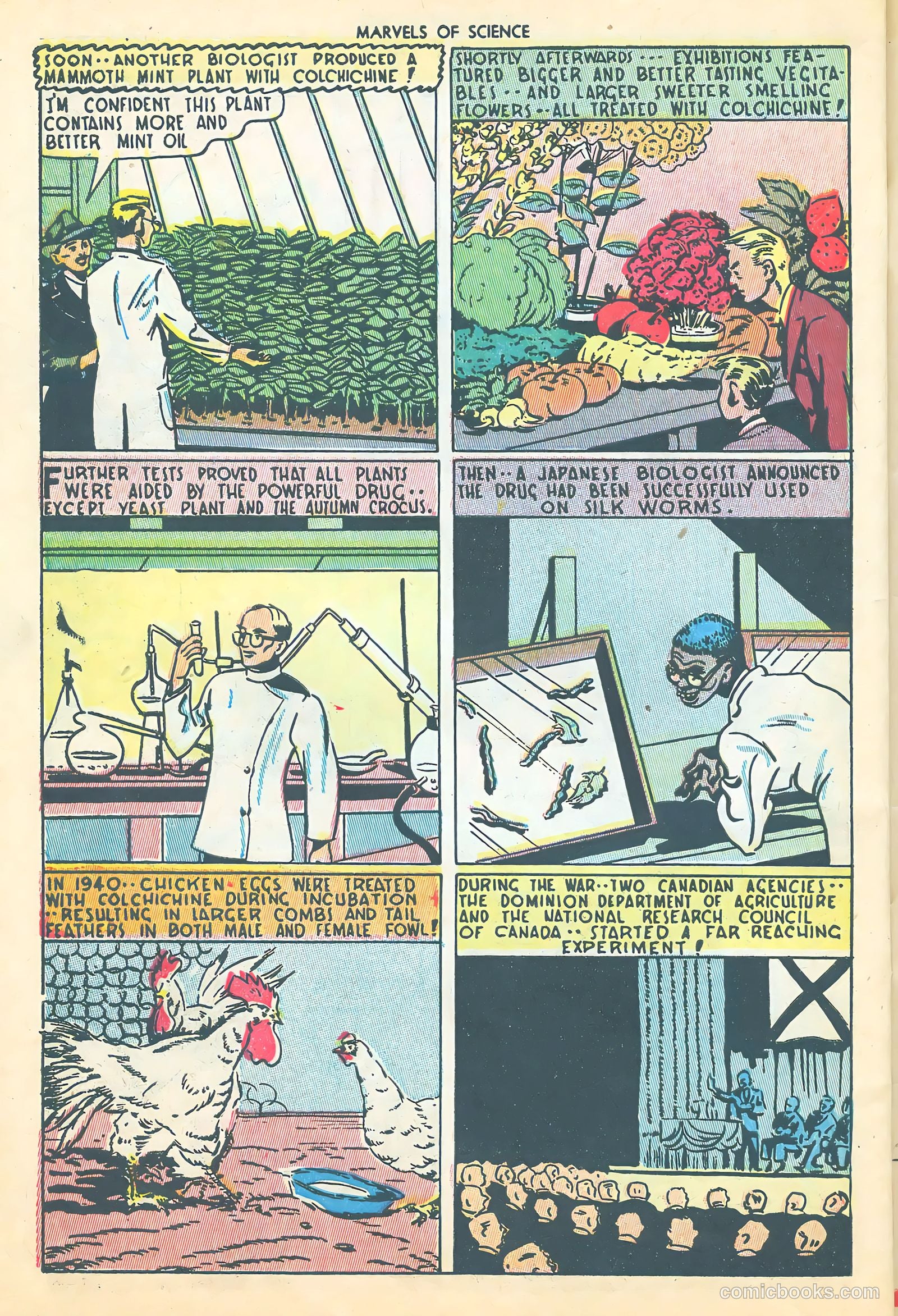 Marvels of Science #2 (1946) — page 40 of 52