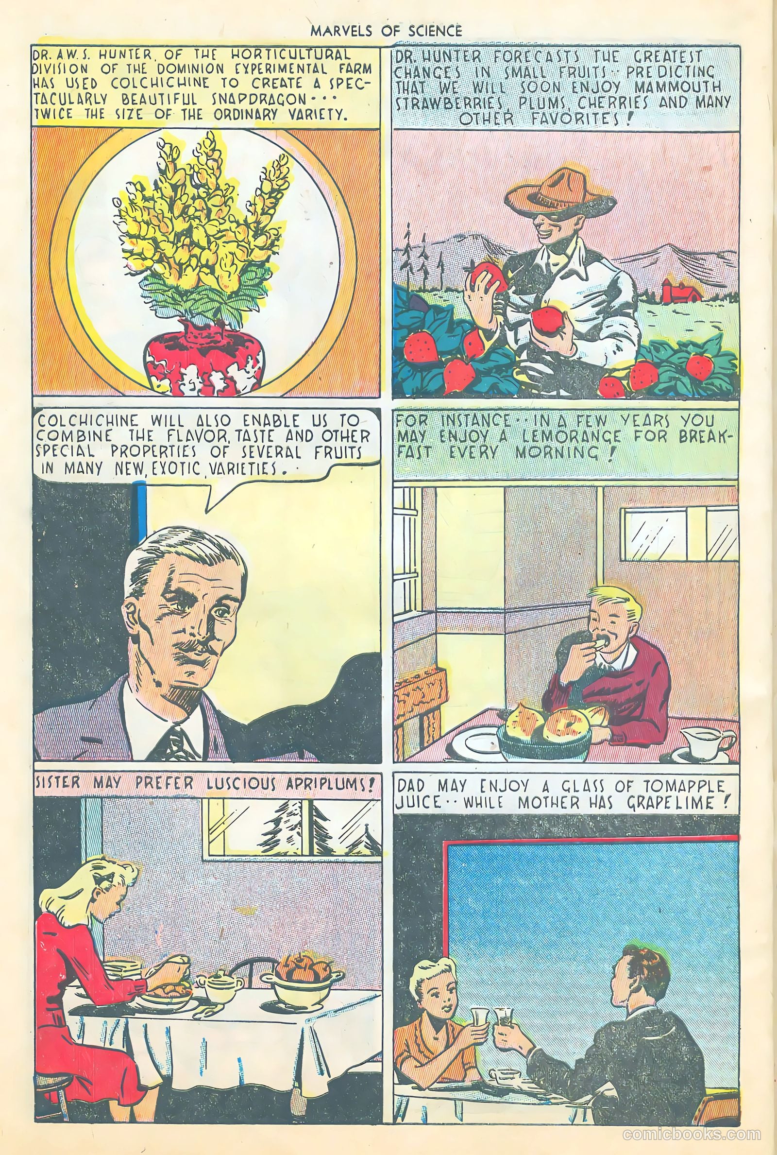 Marvels of Science #2 (1946) — page 42 of 52