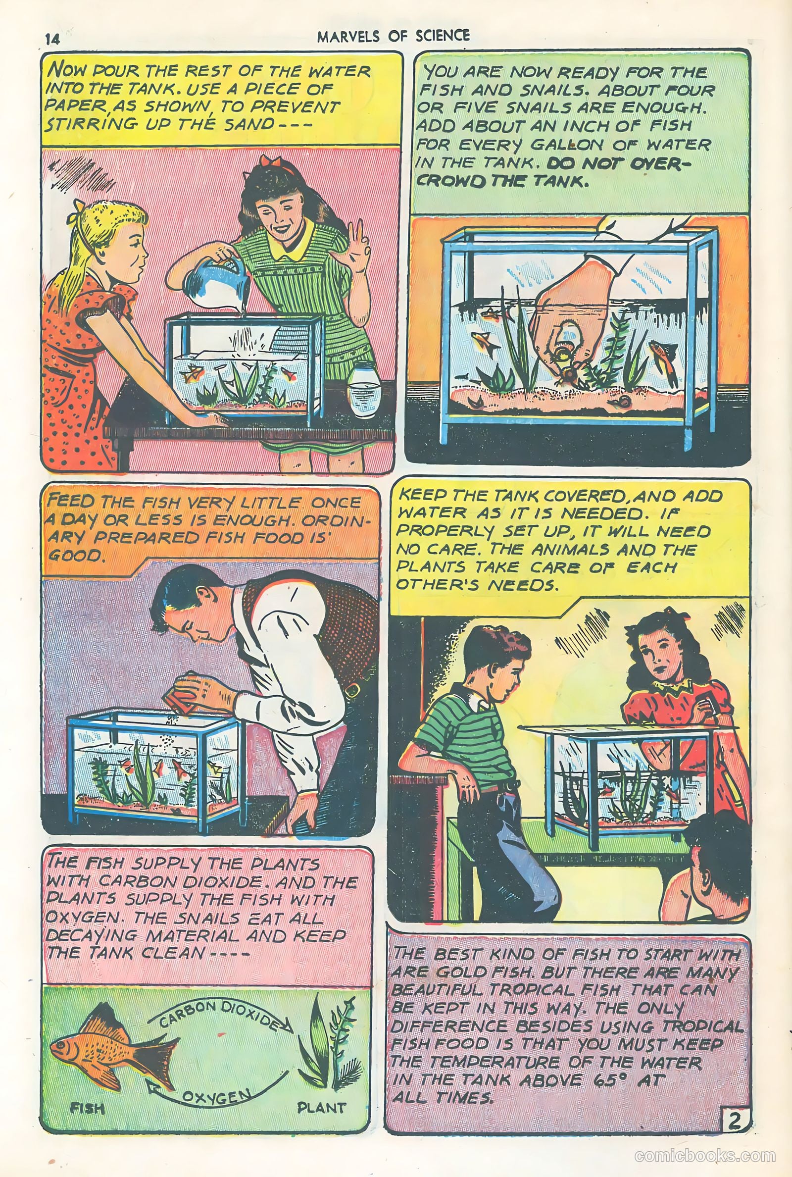 Marvels of Science #3 (1946) — page 16 of 52