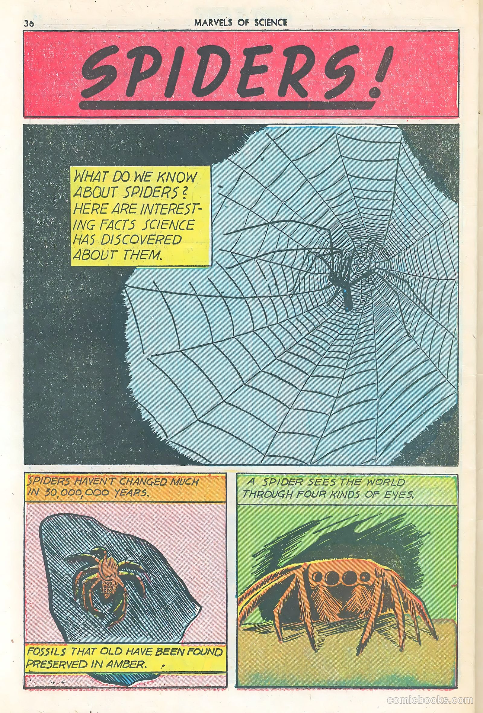 Marvels of Science #3 (1946) — page 38 of 52