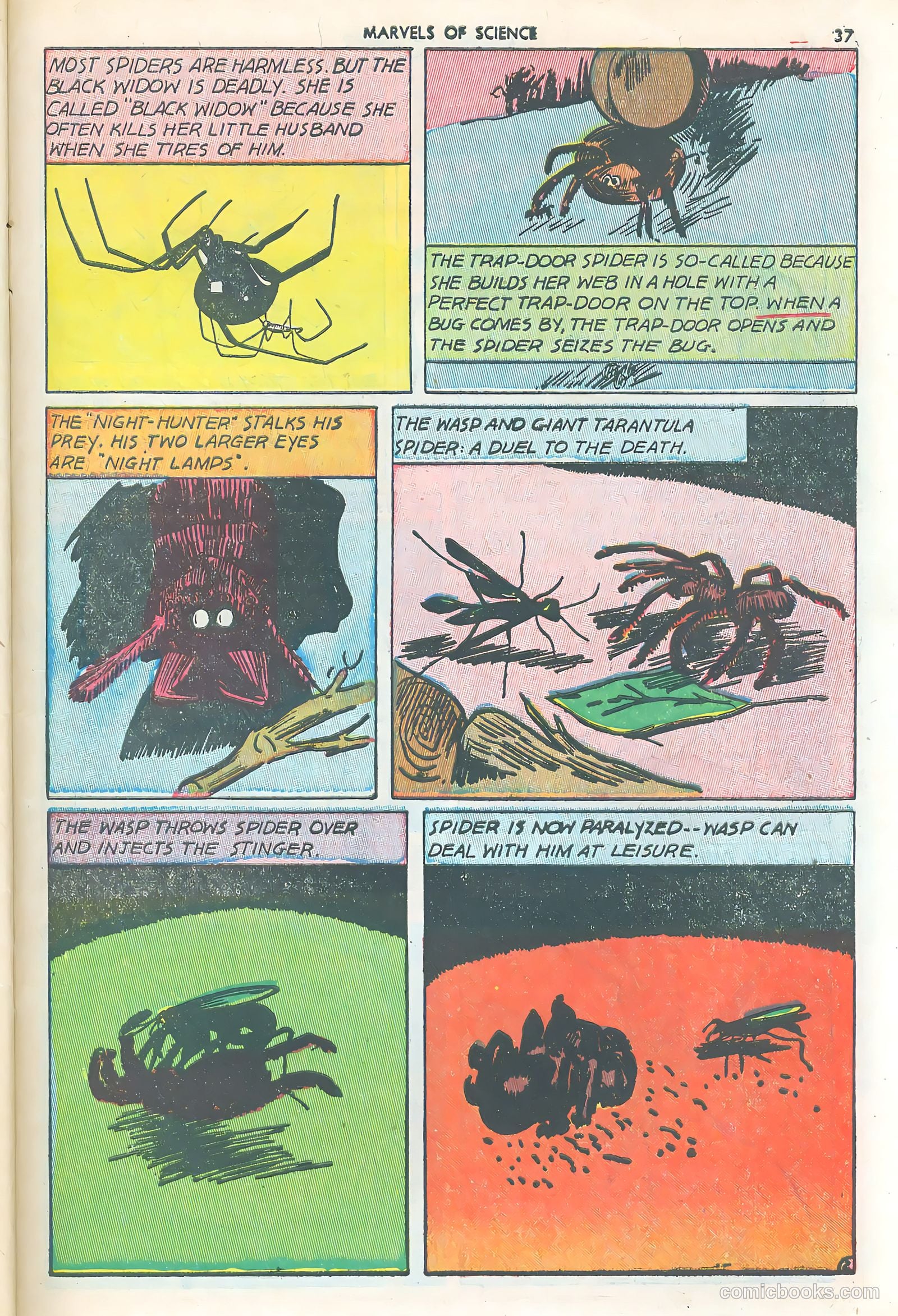 Marvels of Science #3 (1946) — page 39 of 52
